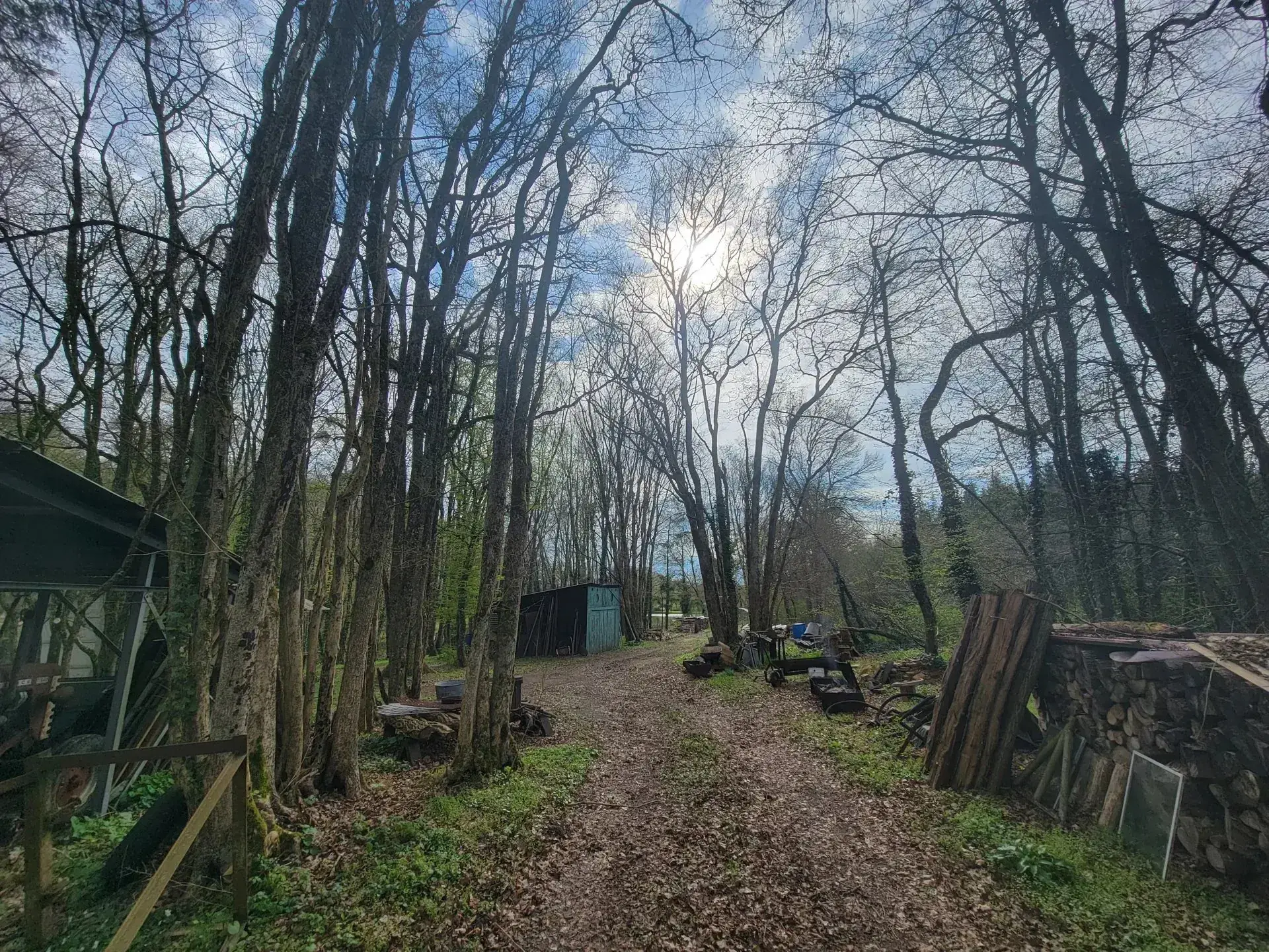 Terrain avec étangs à vendre à La Guerche-sur-l'Aubois, idéal pour passionnés de nature et pêche 