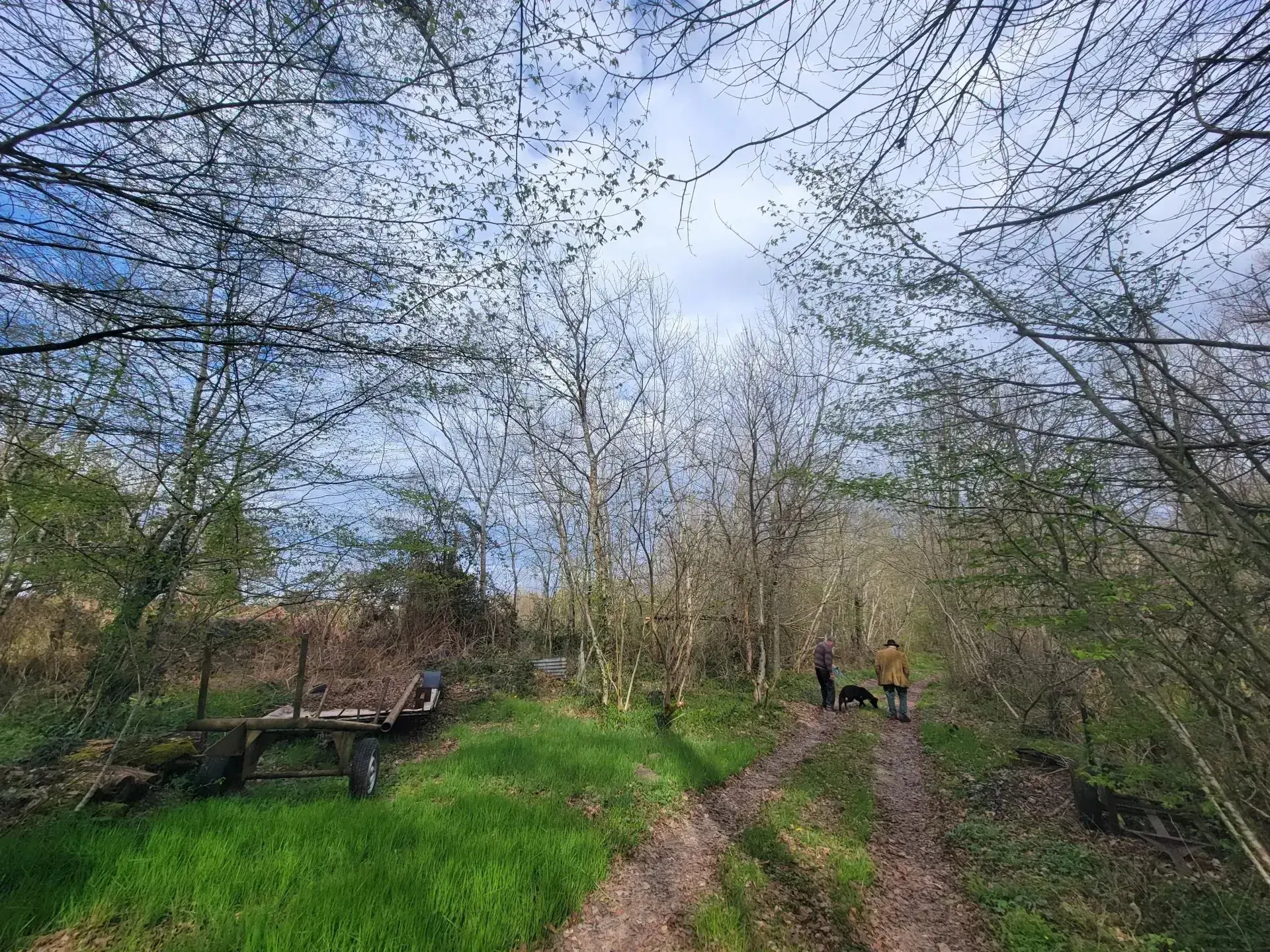Terrain avec étangs à vendre à La Guerche-sur-l'Aubois, idéal pour passionnés de nature et pêche 