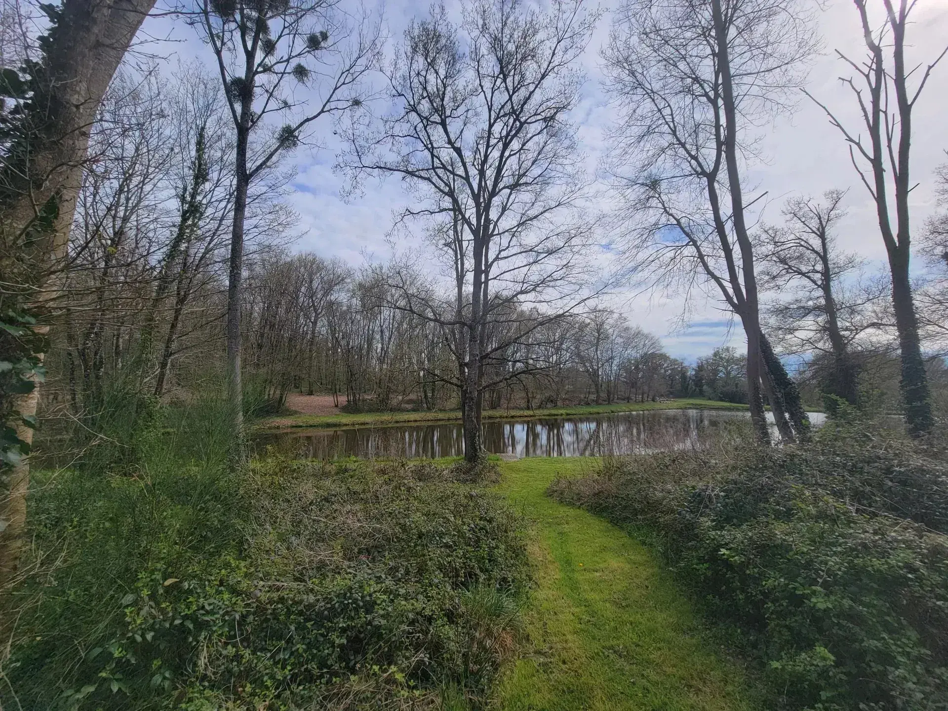 Terrain avec étangs à vendre à La Guerche-sur-l'Aubois, idéal pour passionnés de nature et pêche 