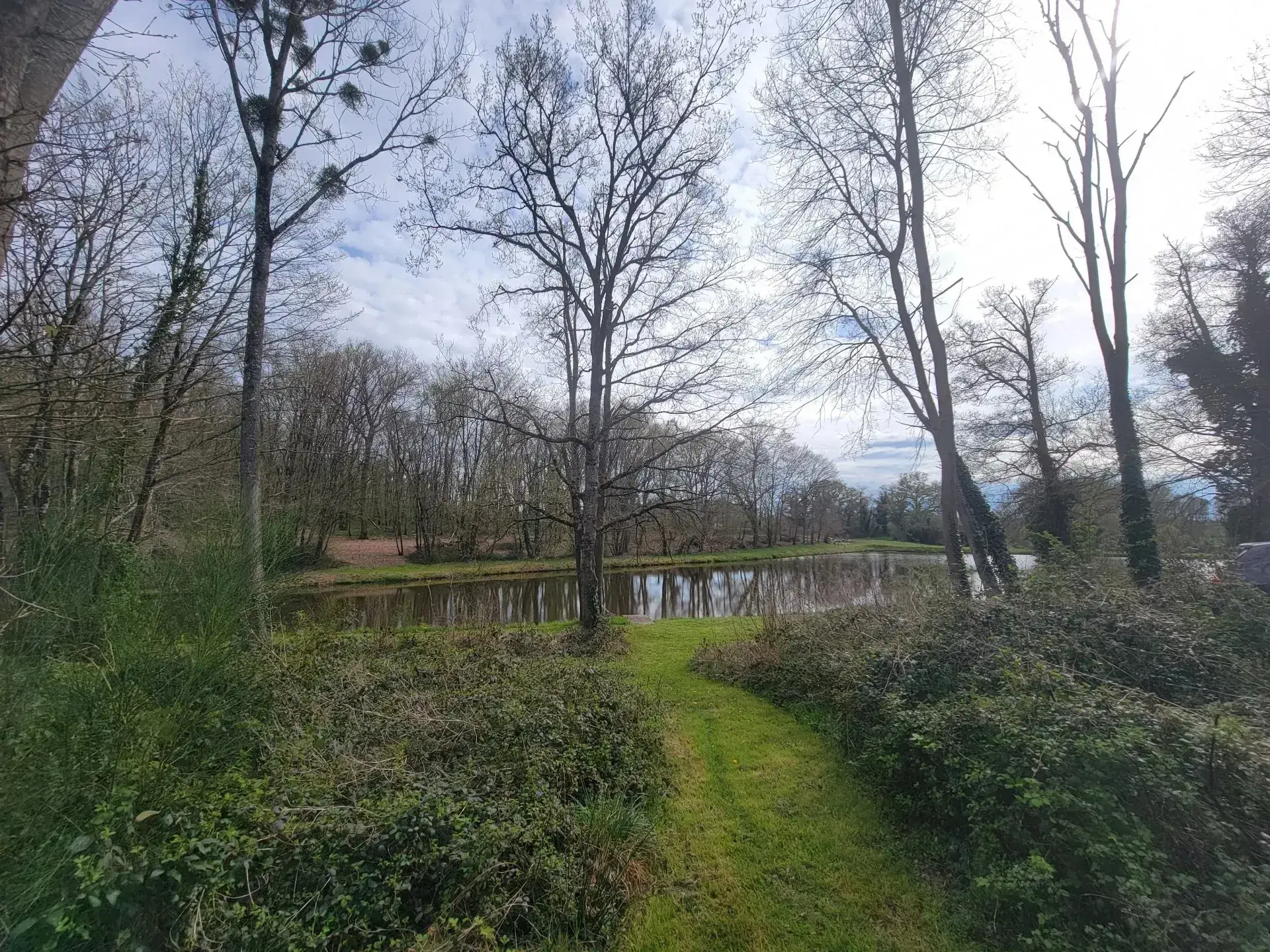 Terrain avec étangs à vendre à La Guerche-sur-l'Aubois, idéal pour passionnés de nature et pêche 