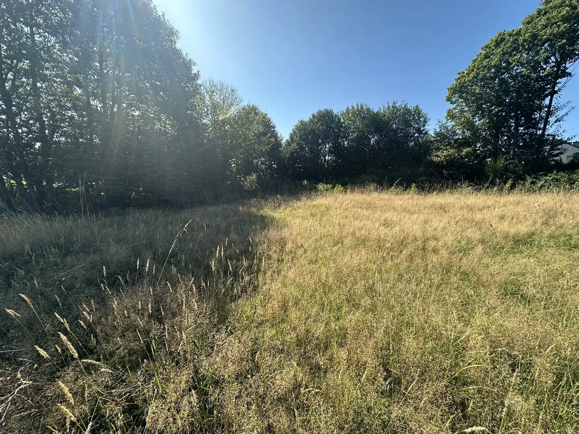 Terrain constructible de 568 m² à Baud, prêt à bâtir, proximité centre-ville