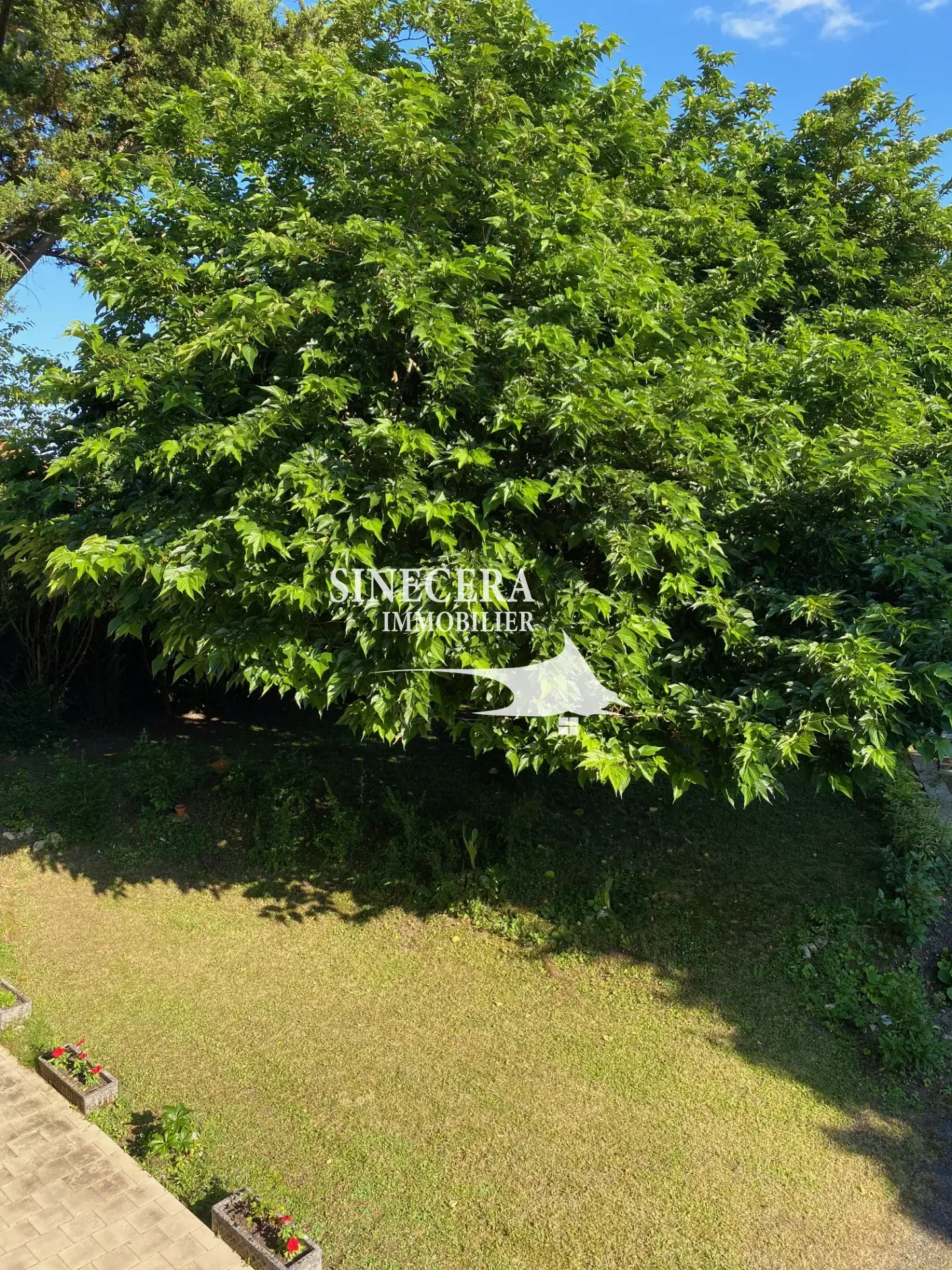 Maison en pierre avec grand terrain à Riberac, 3 chambres, garage et jardin ombragé 