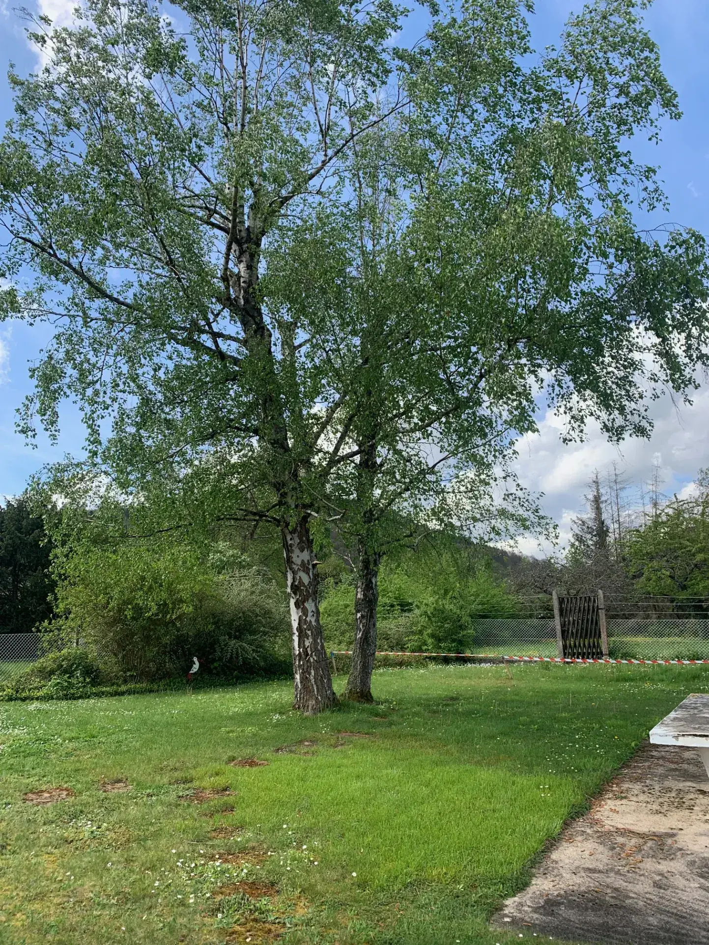 Maison individuelle de 140 m² à Ottertshal avec jardin et garage 