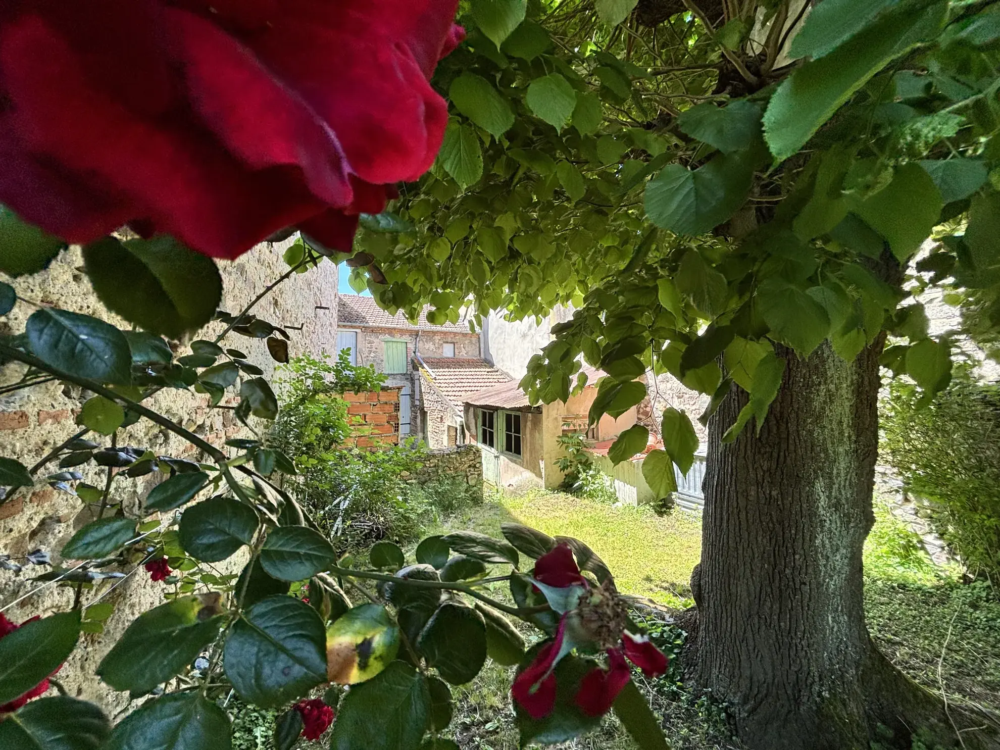 Maison de ville à vendre à Cusset, 116 m² avec garage et jardin 