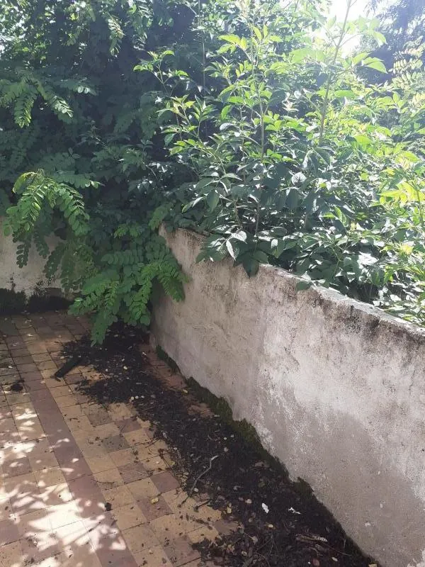 Longère à restaurer avec jardin à Charrin 58300 - Potentiel de rénovation 