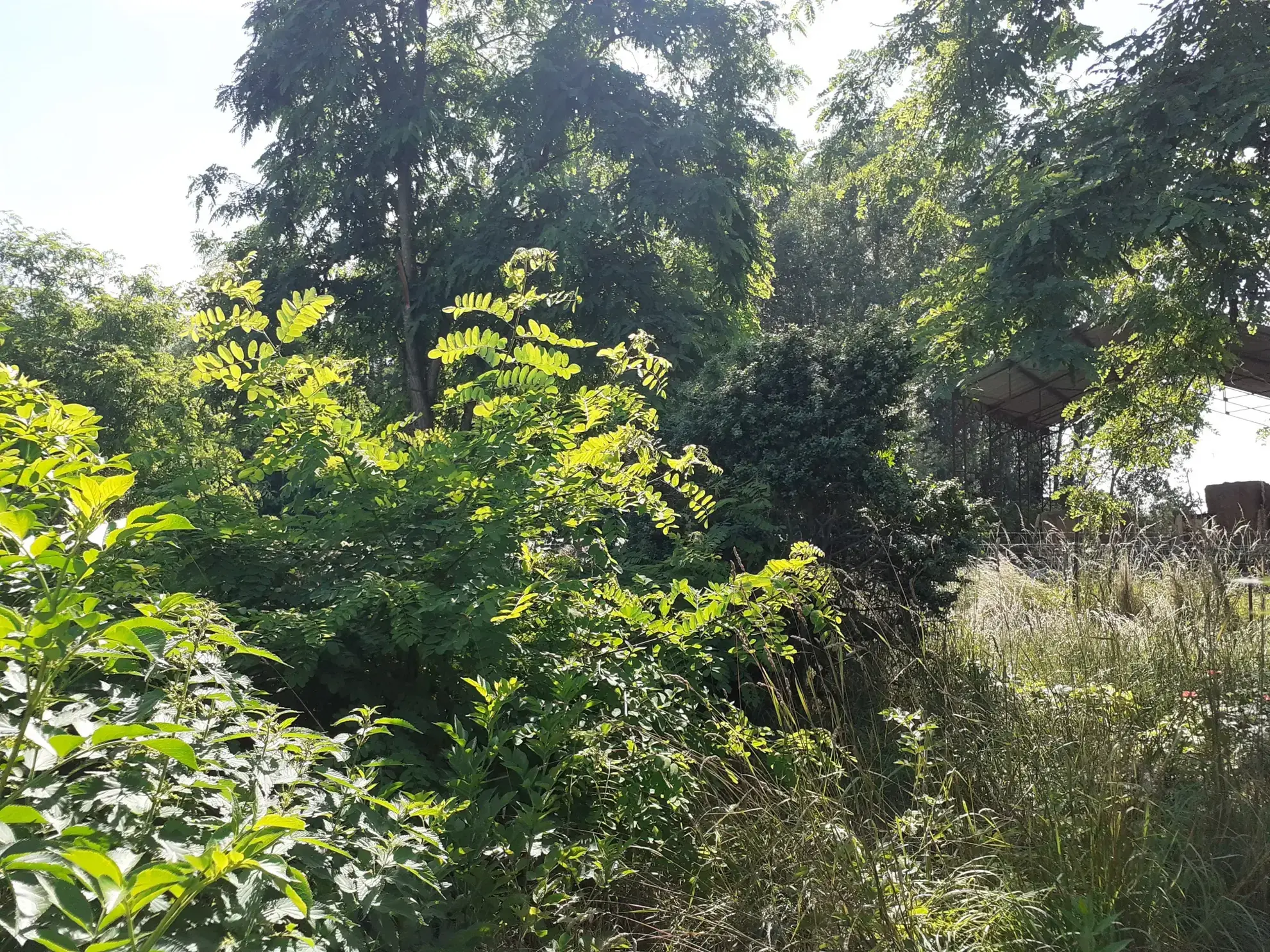 Longère à restaurer avec jardin à Charrin 58300 - Potentiel de rénovation 
