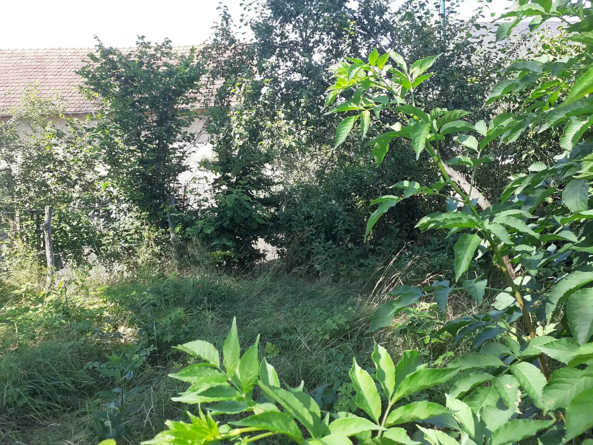 Longère à restaurer avec jardin à Charrin 58300 - Potentiel de rénovation 