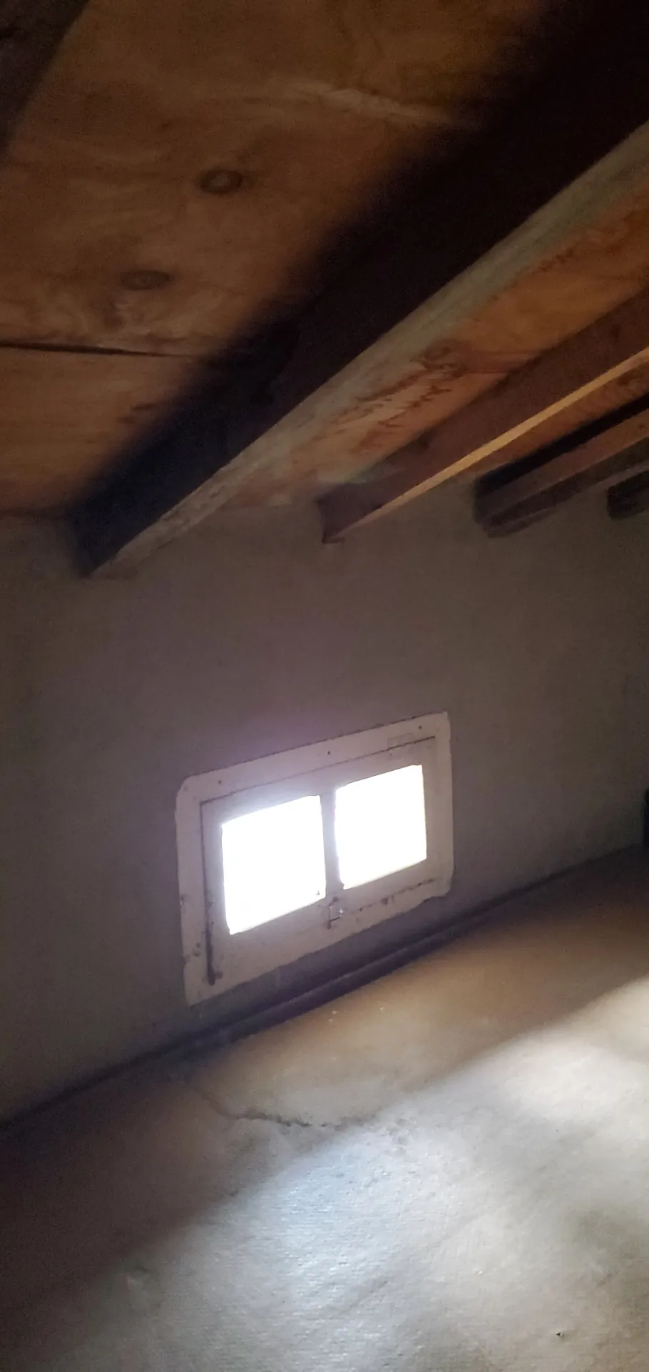 Maison mitoyenne à Gaillac avec terrain et dépendance - Centre-ville 