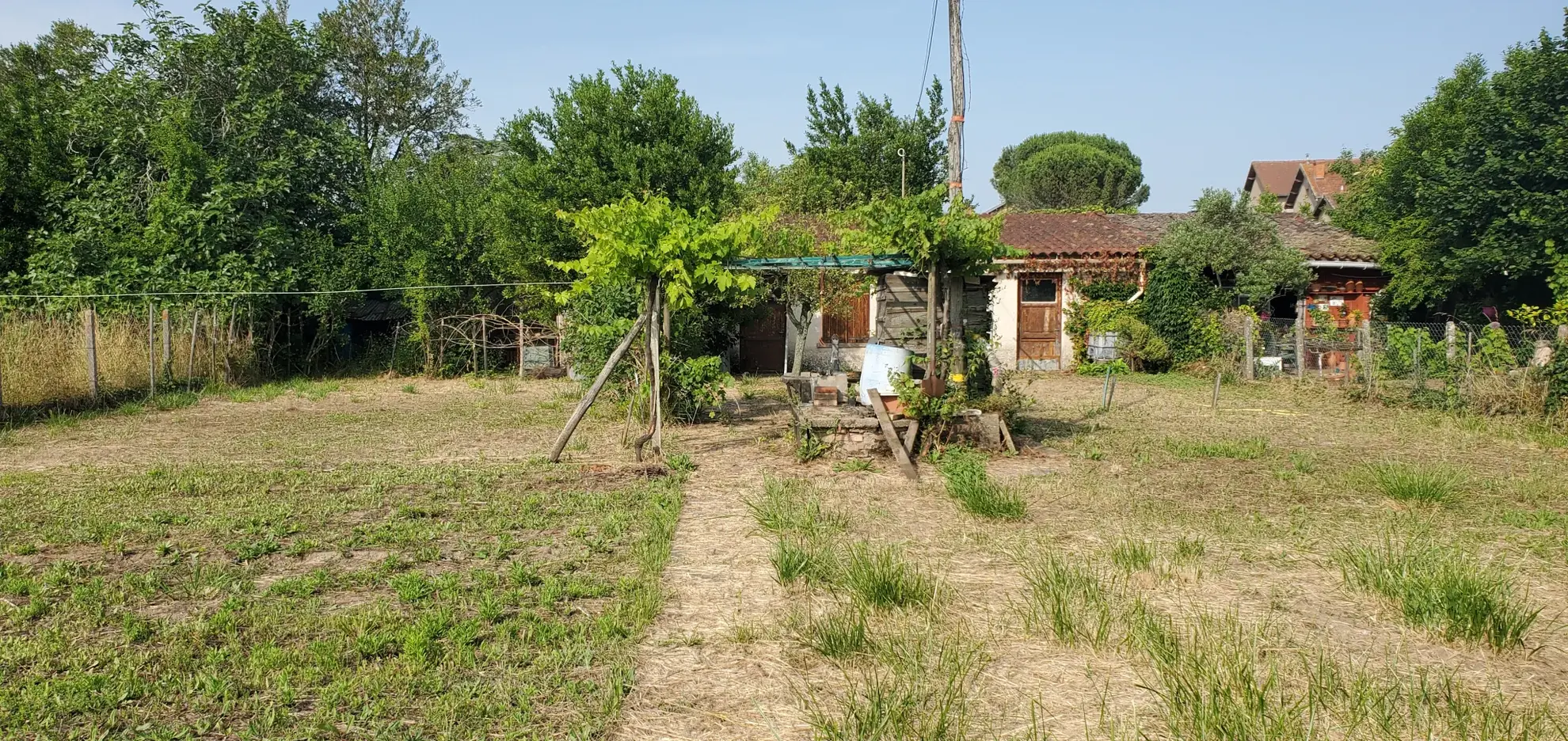 Maison mitoyenne à Gaillac avec terrain et dépendance - Centre-ville 