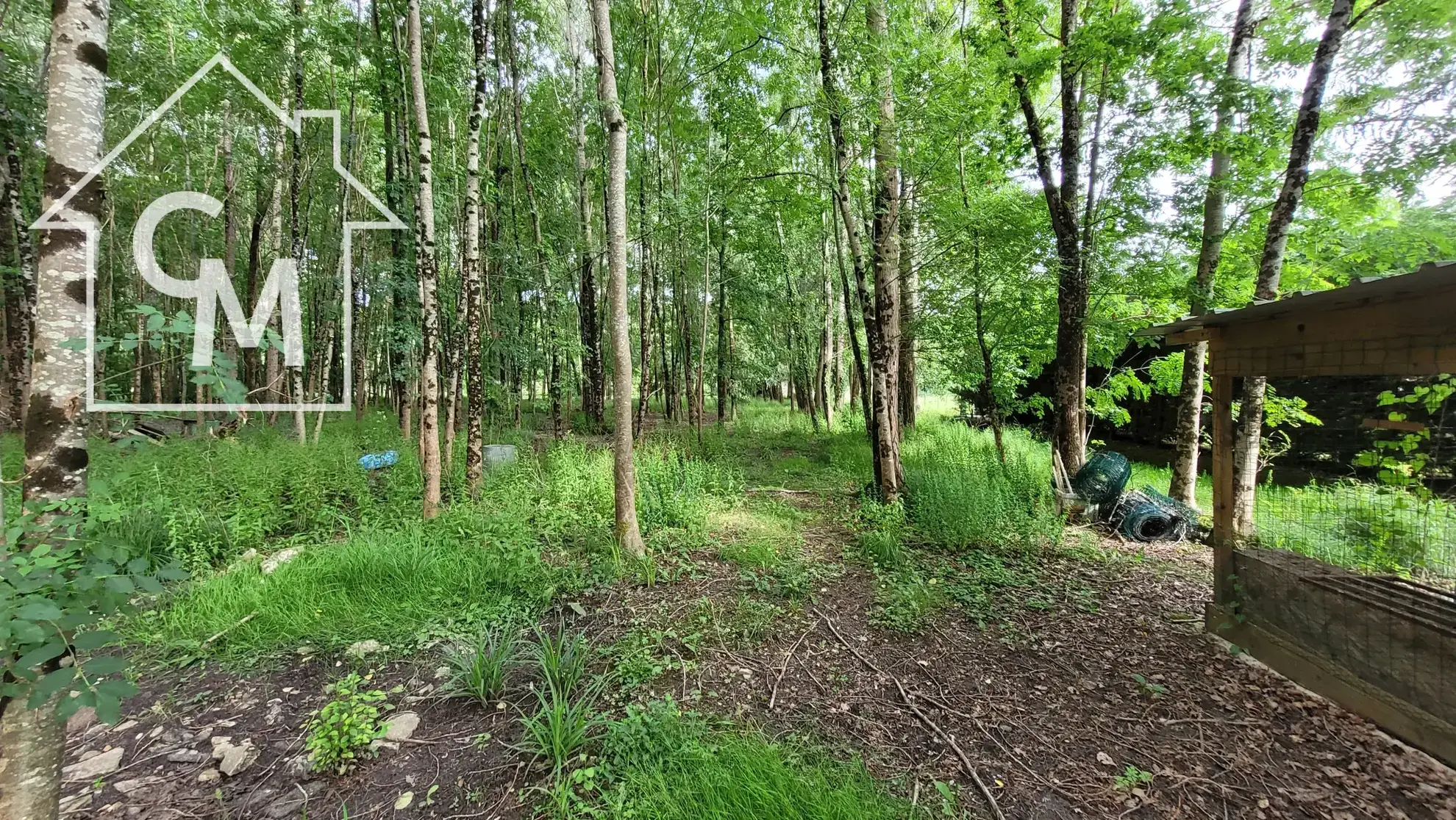 Maison de plain-pied avec dépendances et grand terrain à Le Péchereau 