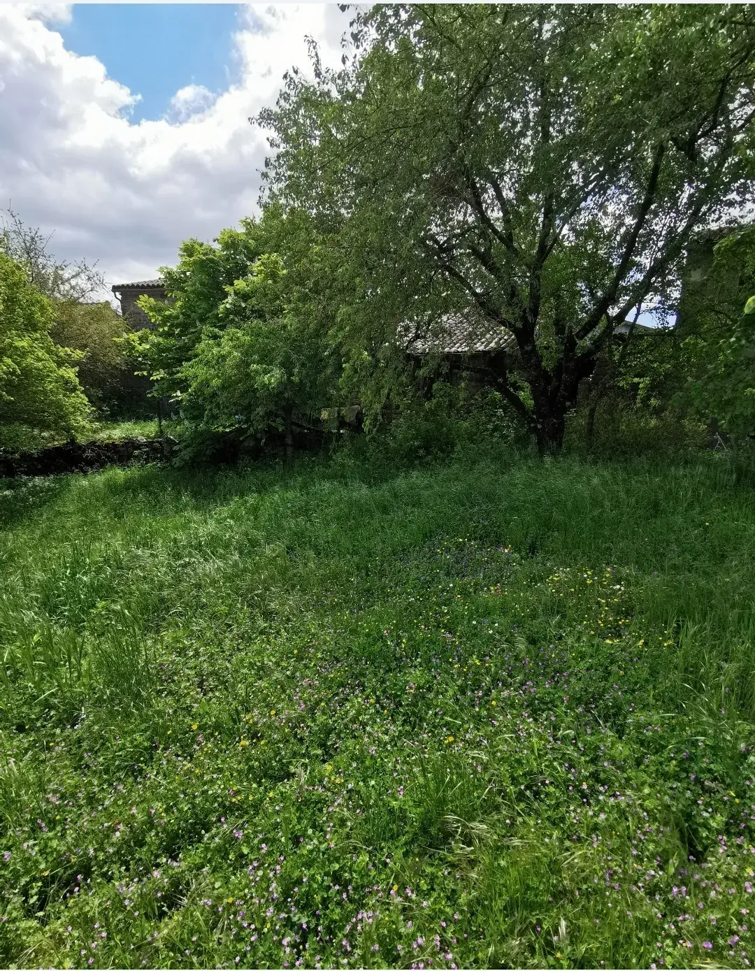 Ancienne bergerie en pierre avec vue sur le Causse, proche Saint Affrique 
