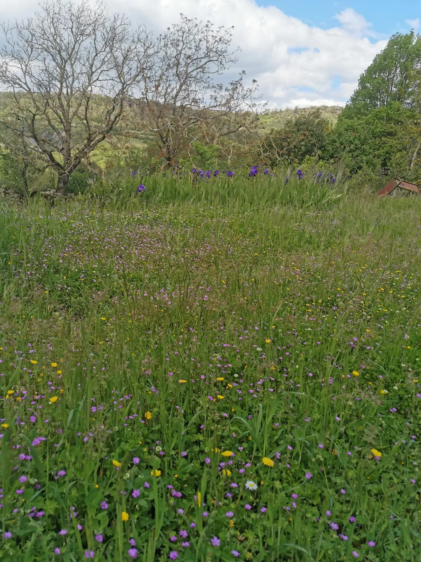 Ancienne bergerie en pierre avec vue sur le Causse, proche Saint Affrique 