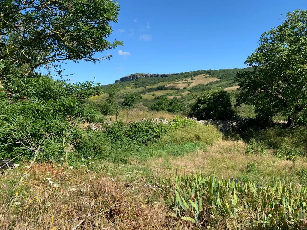 Ancienne bergerie en pierre avec vue sur le Causse, proche Saint Affrique 