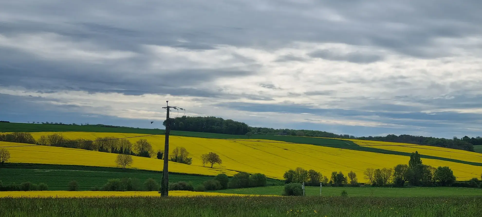 Maison spacieuse avec terrain, piscine et dépendances à Vendôme à seulement 15 min TGV 