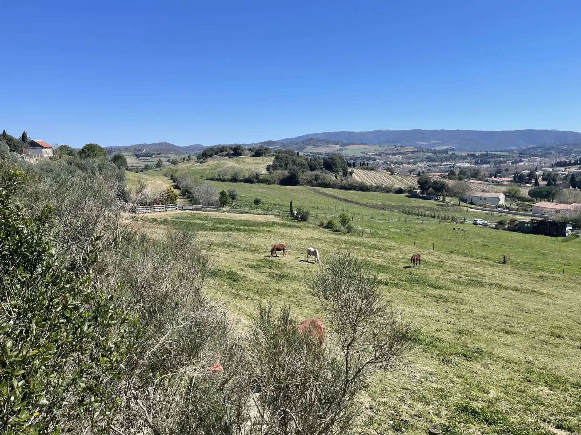 Propriété équestre avec vue panoramique sur les Pyrénées à Limoux