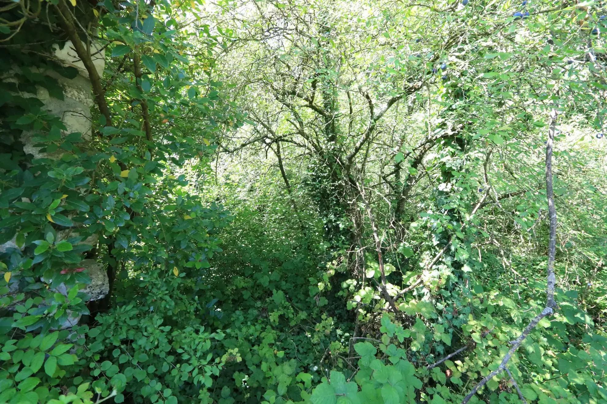 Maison ancienne avec jardin à Vézinnes de 127 m² à vendre près de Tonnerre 