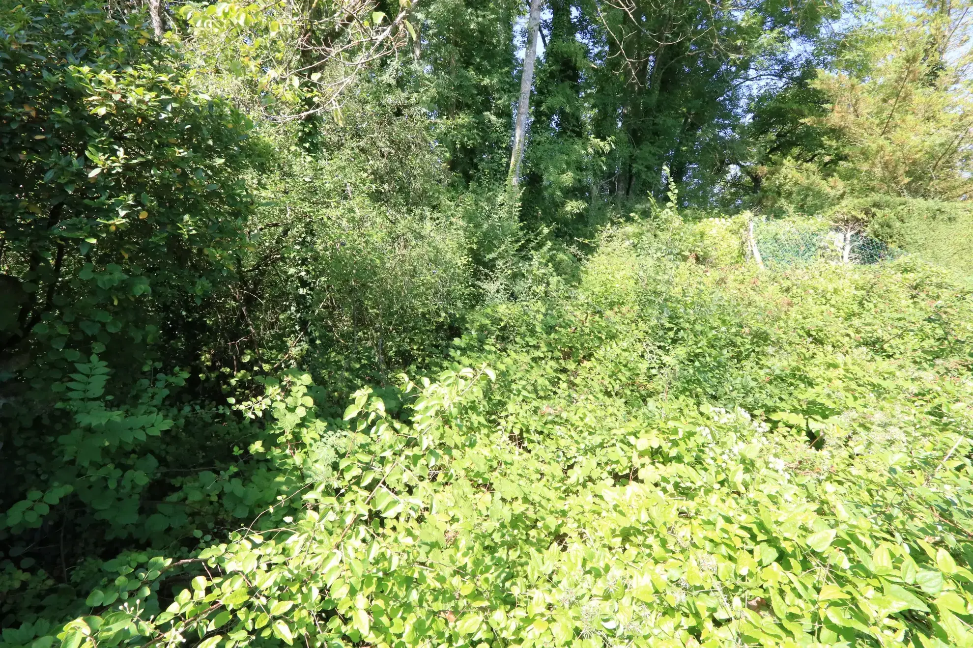 Maison ancienne avec jardin à Vézinnes de 127 m² à vendre près de Tonnerre 