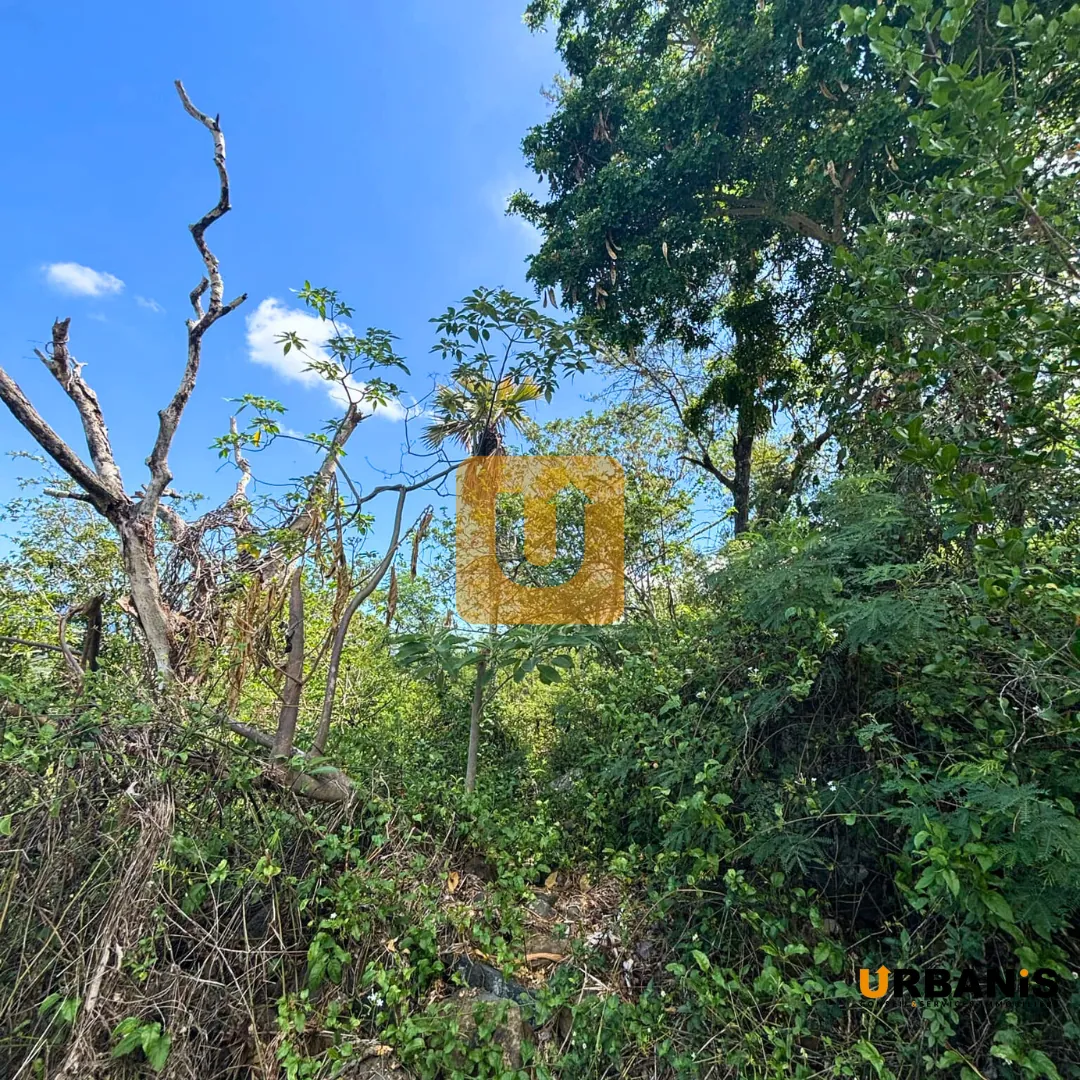 Terrain constructible de 1000 m² avec vue mer à Saint Paul 