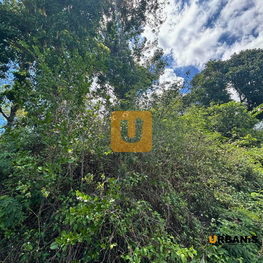 Terrain constructible de 1000 m² avec vue mer à Saint Paul 