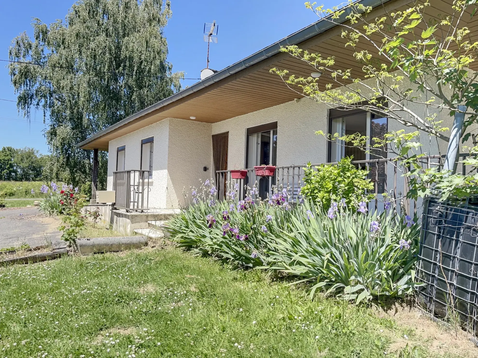 Maison spacieuse avec dépendances et terrain à Mirandol 