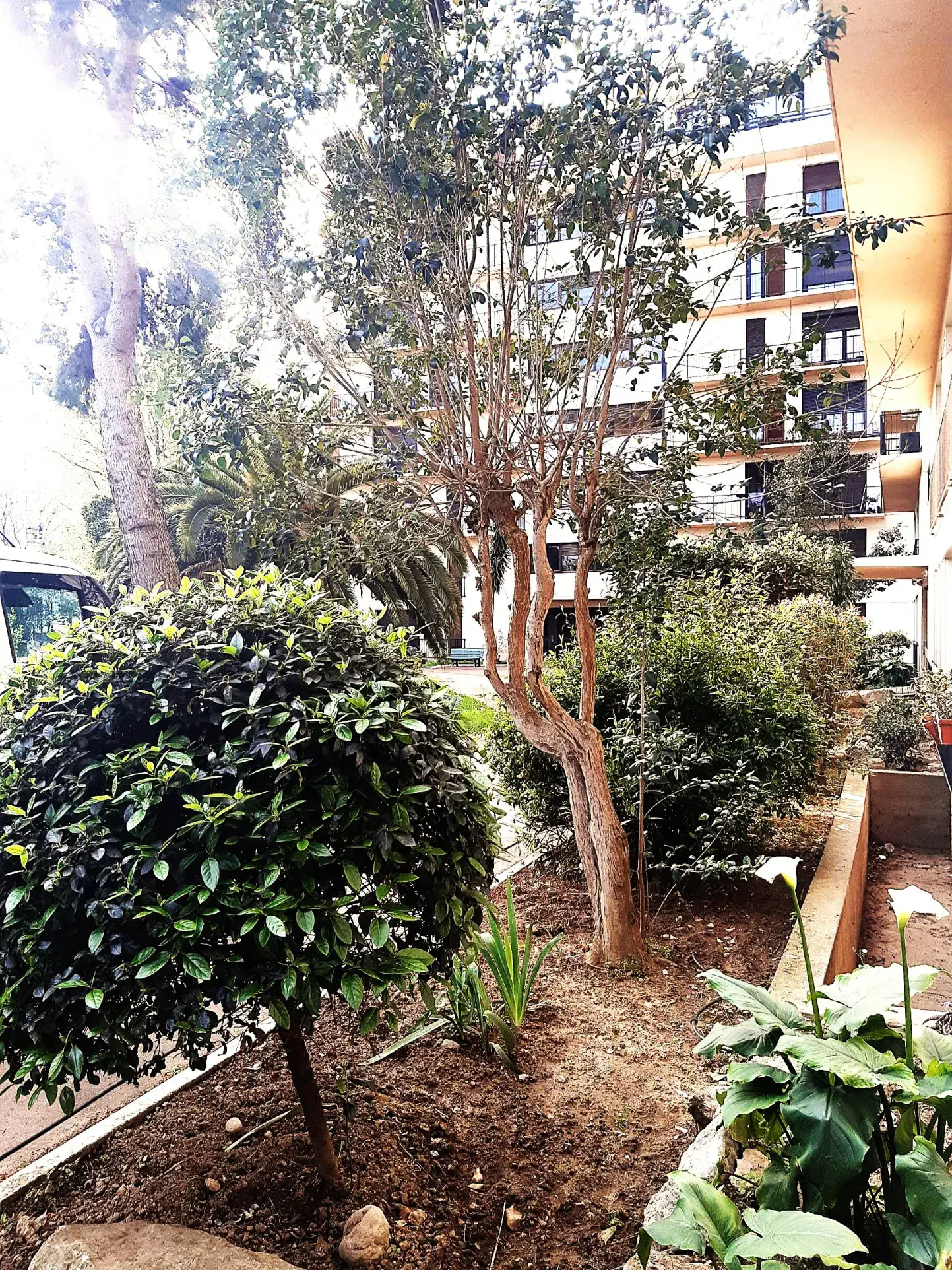 Studio lumineux avec balcon, parking et cave à Perpignan - Quartier des Fleurs 