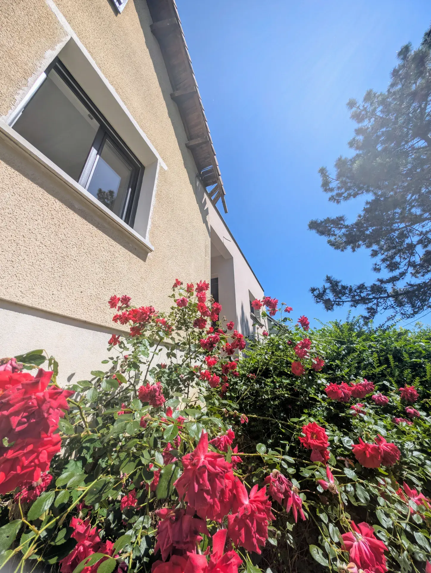 Maison familiale 4 chambres avec terrasse et chauffage géothermique à Saint Parres aux Tertres 