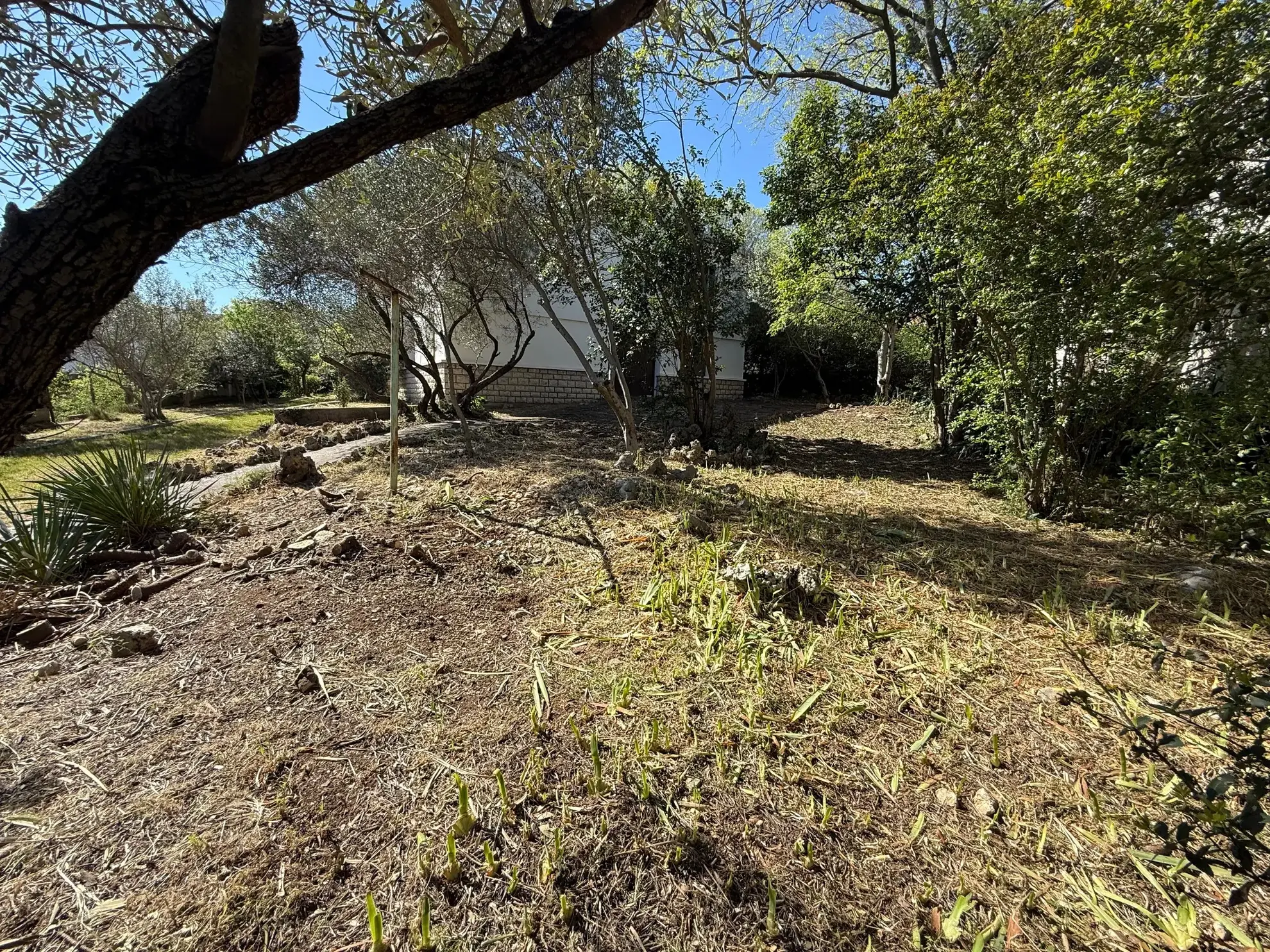 Terrain constructible de 391 m² à Montpellier - Quartier Plan des 4 Seigneurs 