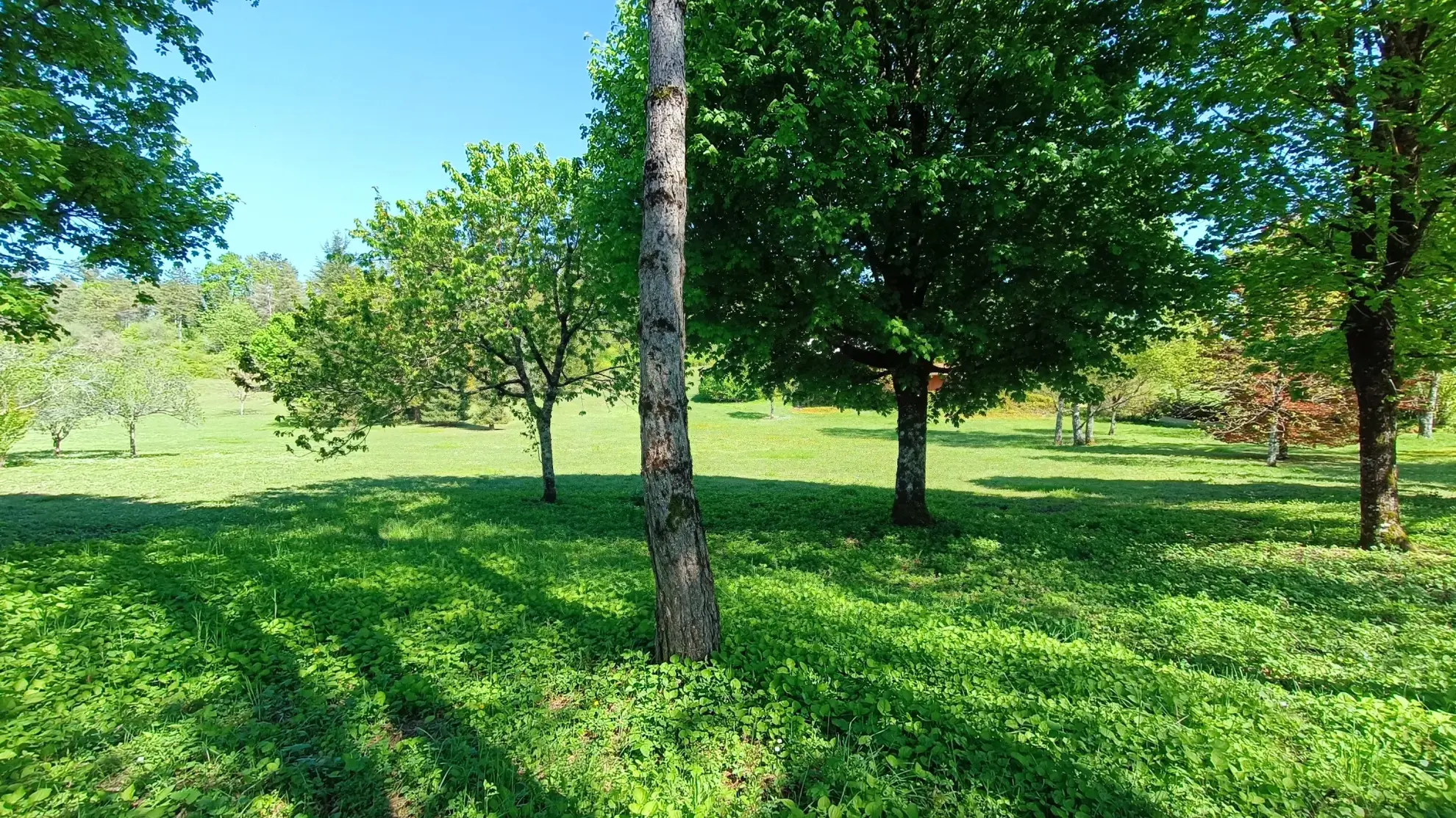 Maison architecte proche nature à Sorges – 183 m² avec terrain de 11 830 m² 
