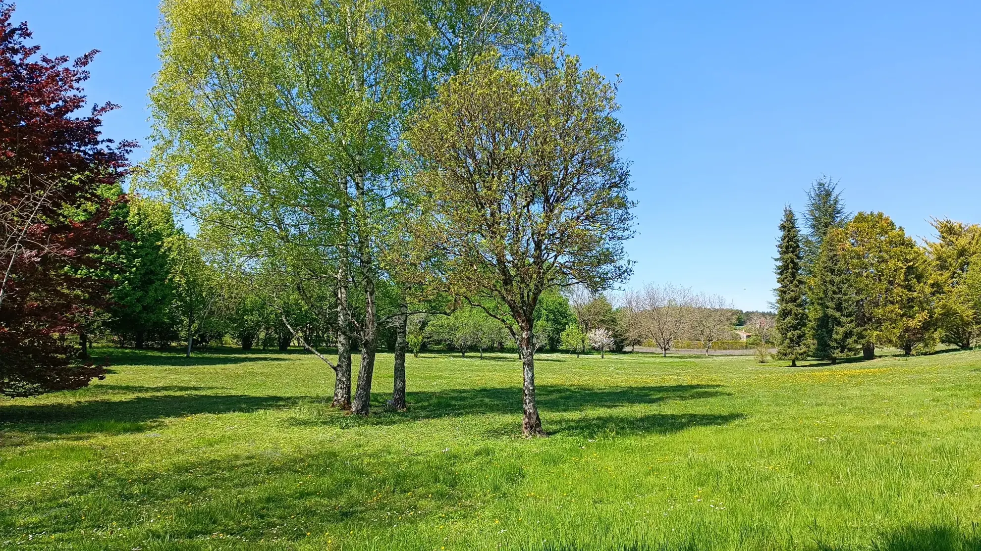 Maison architecte proche nature à Sorges – 183 m² avec terrain de 11 830 m² 