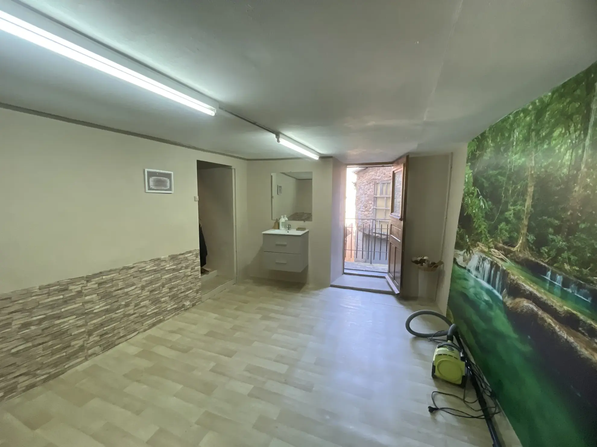 Appartement duplex 5 pièces meublé avec locaux commerciaux à Saint Rome de Tarn 