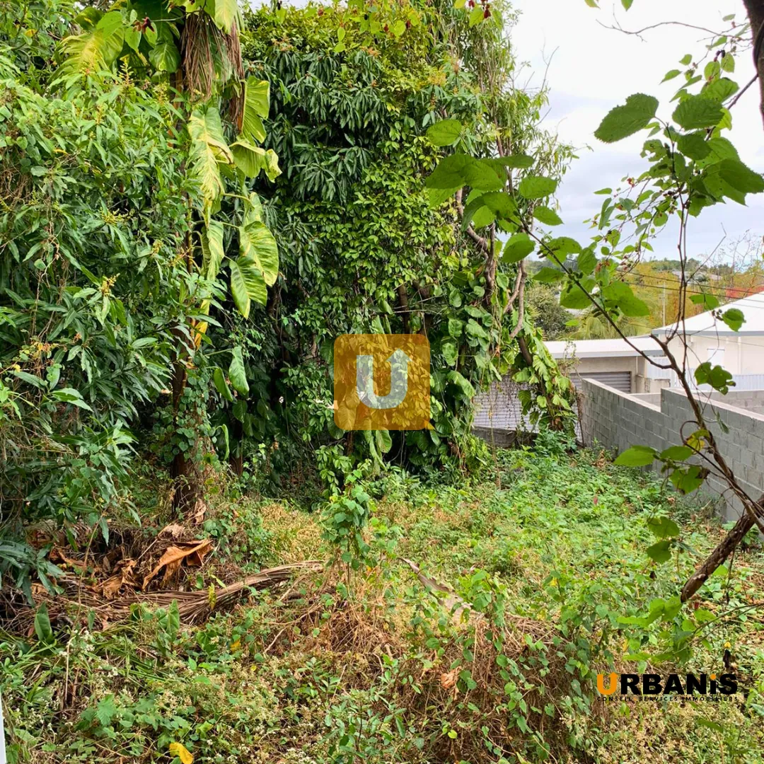 Maison à rénover ou démolir sur parcelle de 819 m² au Tampon - Opportunité à saisir 