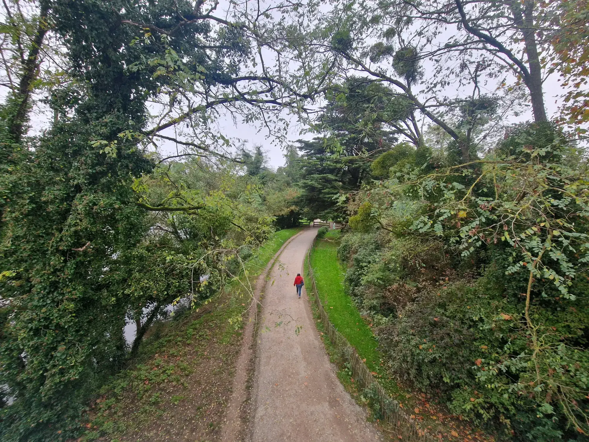 Maison de village avec cour et cave à Saint-Geniès-de-Comolas - Fort potentiel de rénovation 