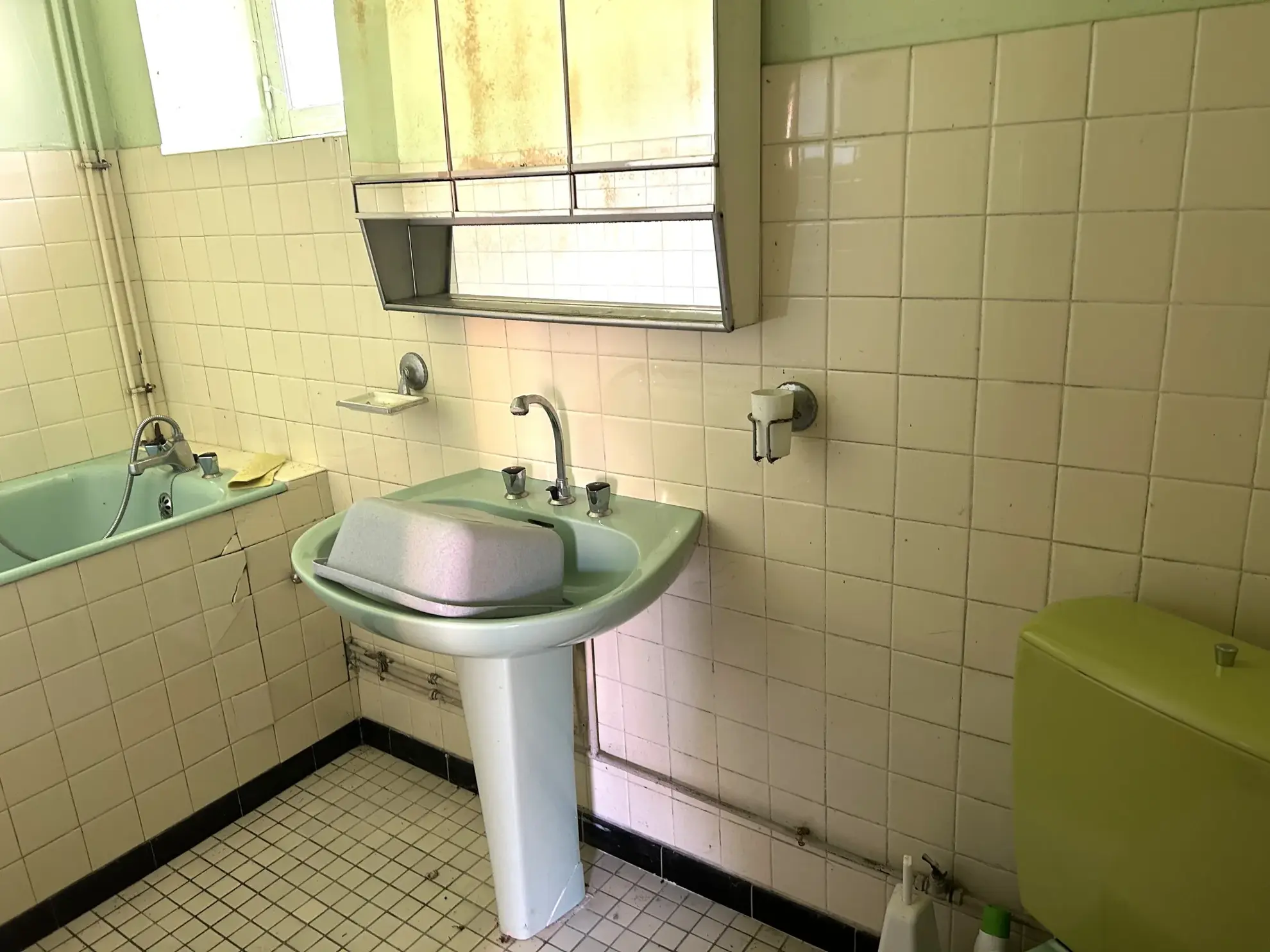 Maison avec deux habitations à vendre entre Guerigny et Premery, terrain de 3310 m² 