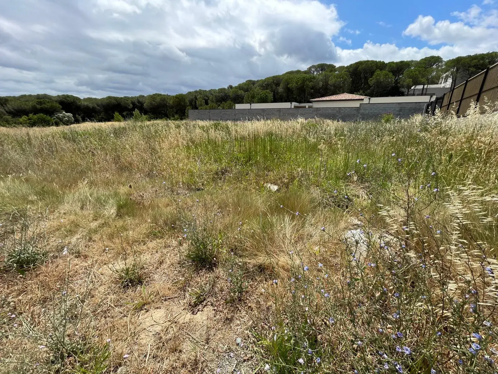 Terrain constructible de 1470 m² à Villedubert, proche Carcassonne