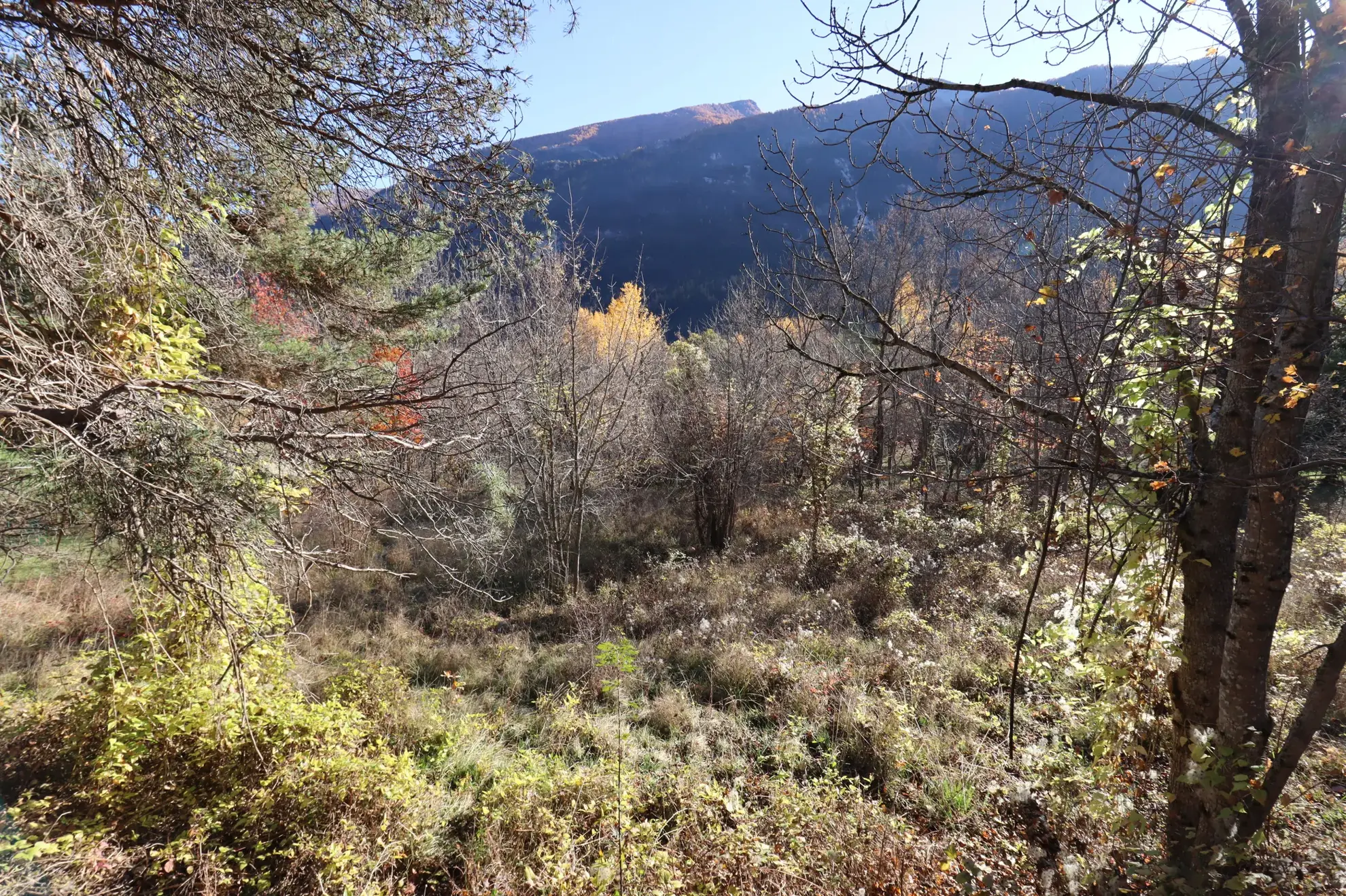 Terrain constructible de 1508 m² à Beauvezer en montagne, vue sur la nature 