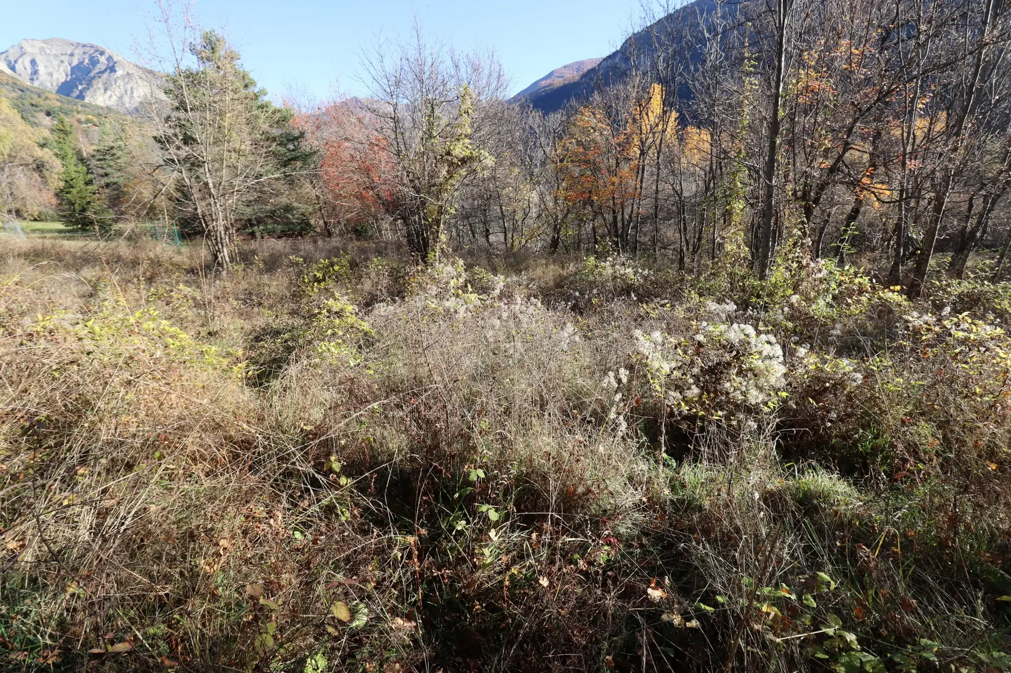 Terrain constructible de 1508 m² à Beauvezer en montagne, vue sur la nature 