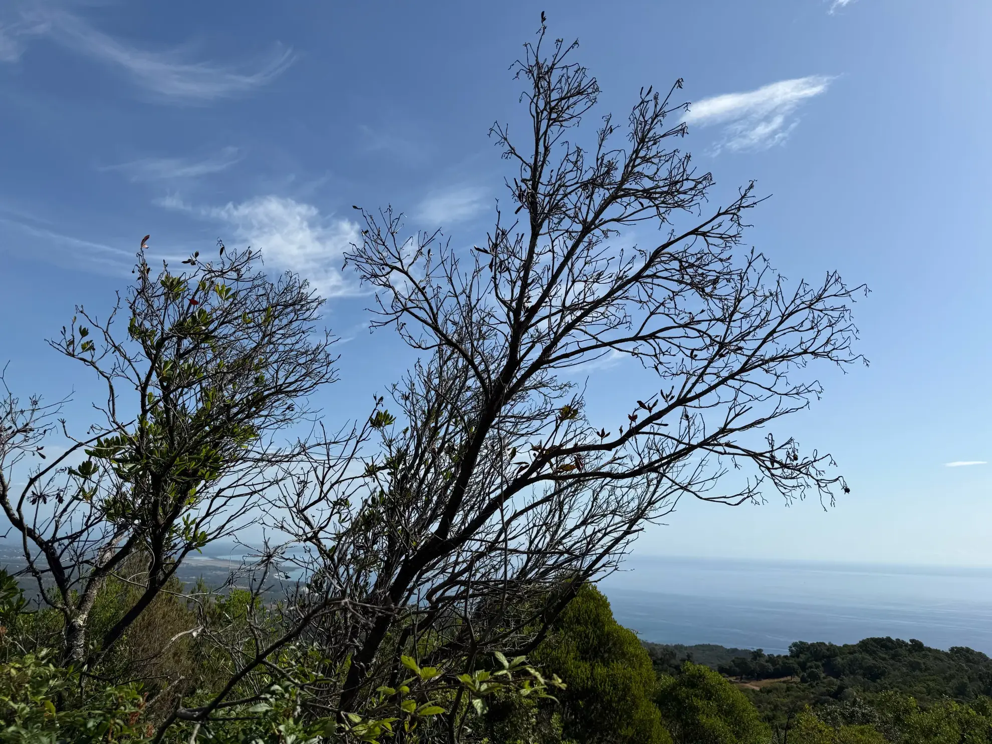 Terrain constructible de 500 m² à Sari Village avec vue sur la mer 