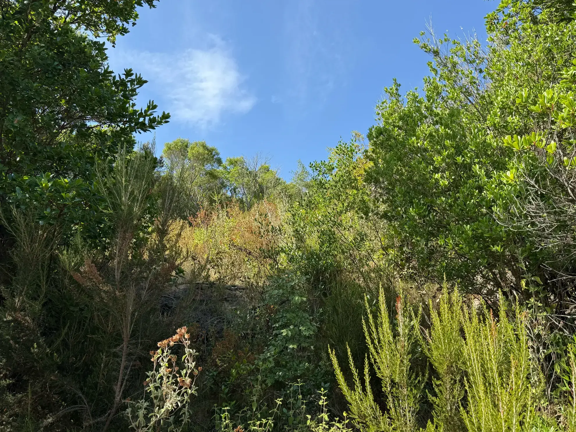 Terrain constructible de 500 m² à Sari Village avec vue sur la mer 