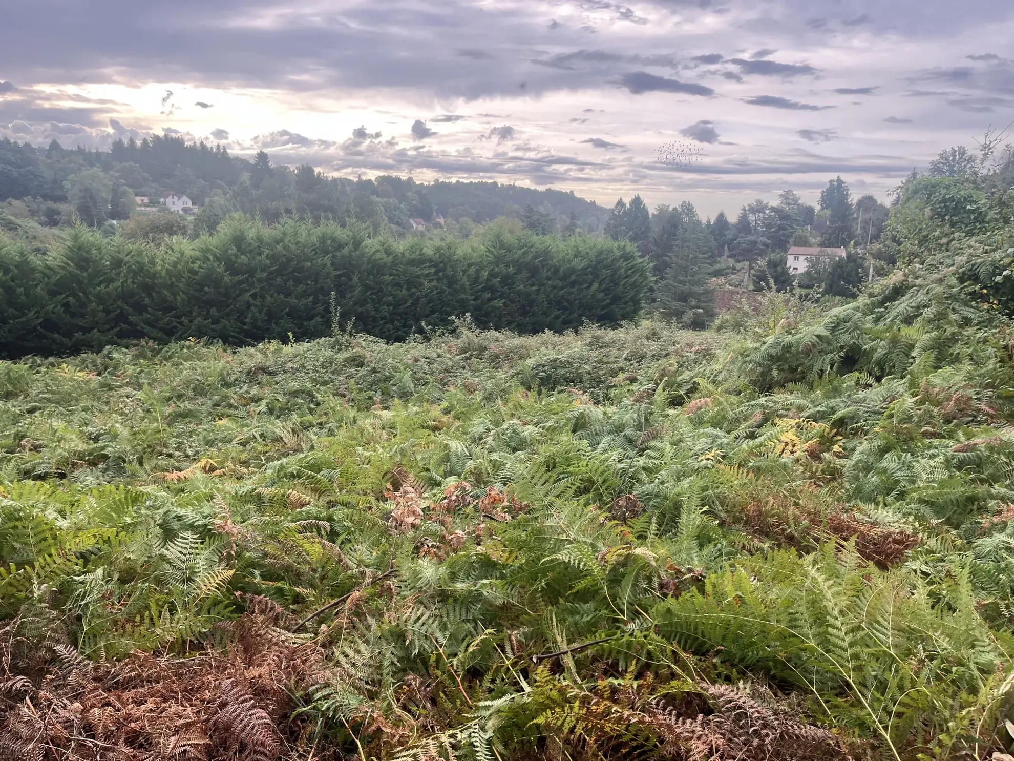 Maison en pierres à restaurer à Sarlat avec grand terrain de 26 000 m² 