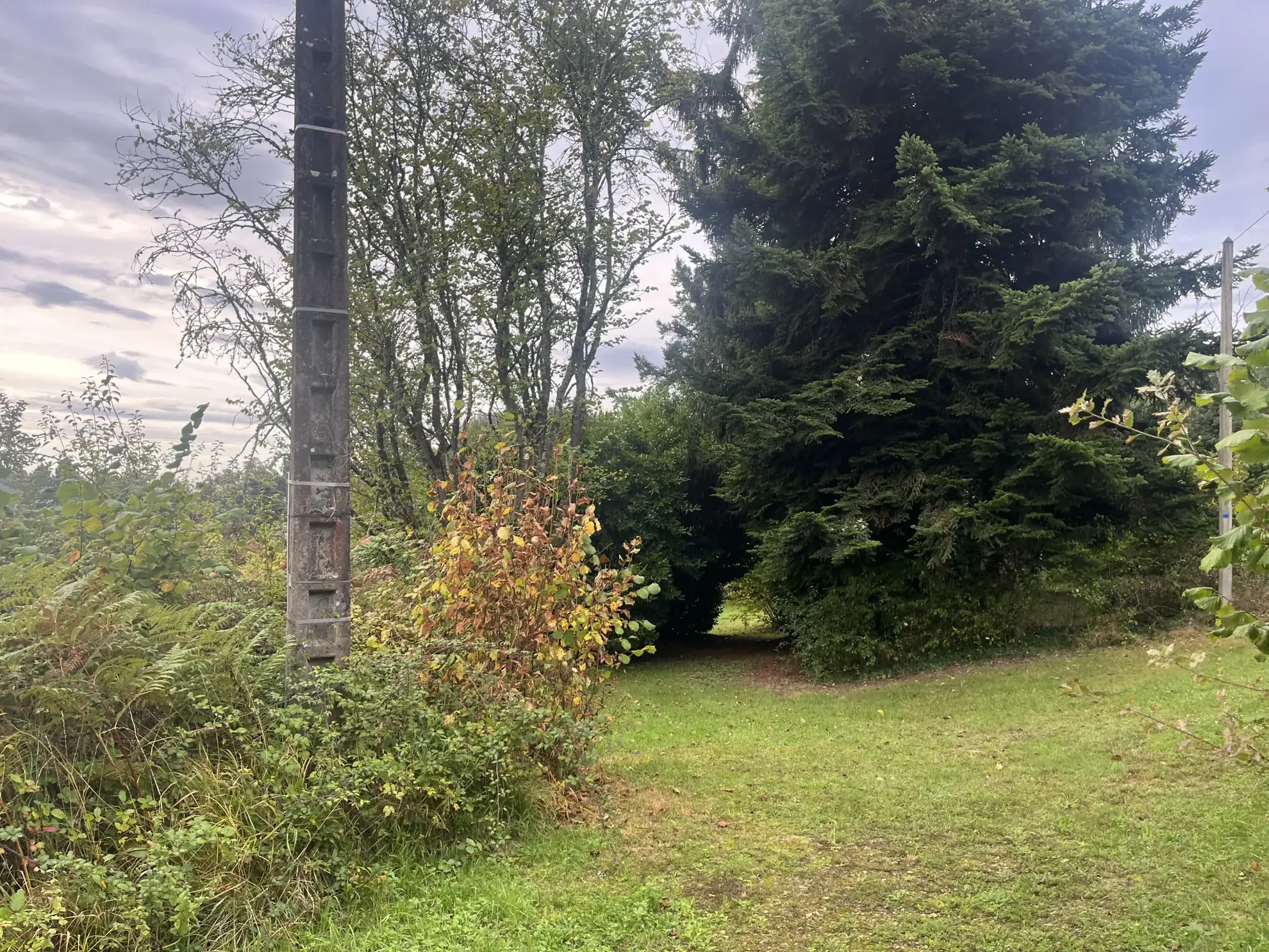 Maison en pierres à restaurer à Sarlat avec grand terrain de 26 000 m² 