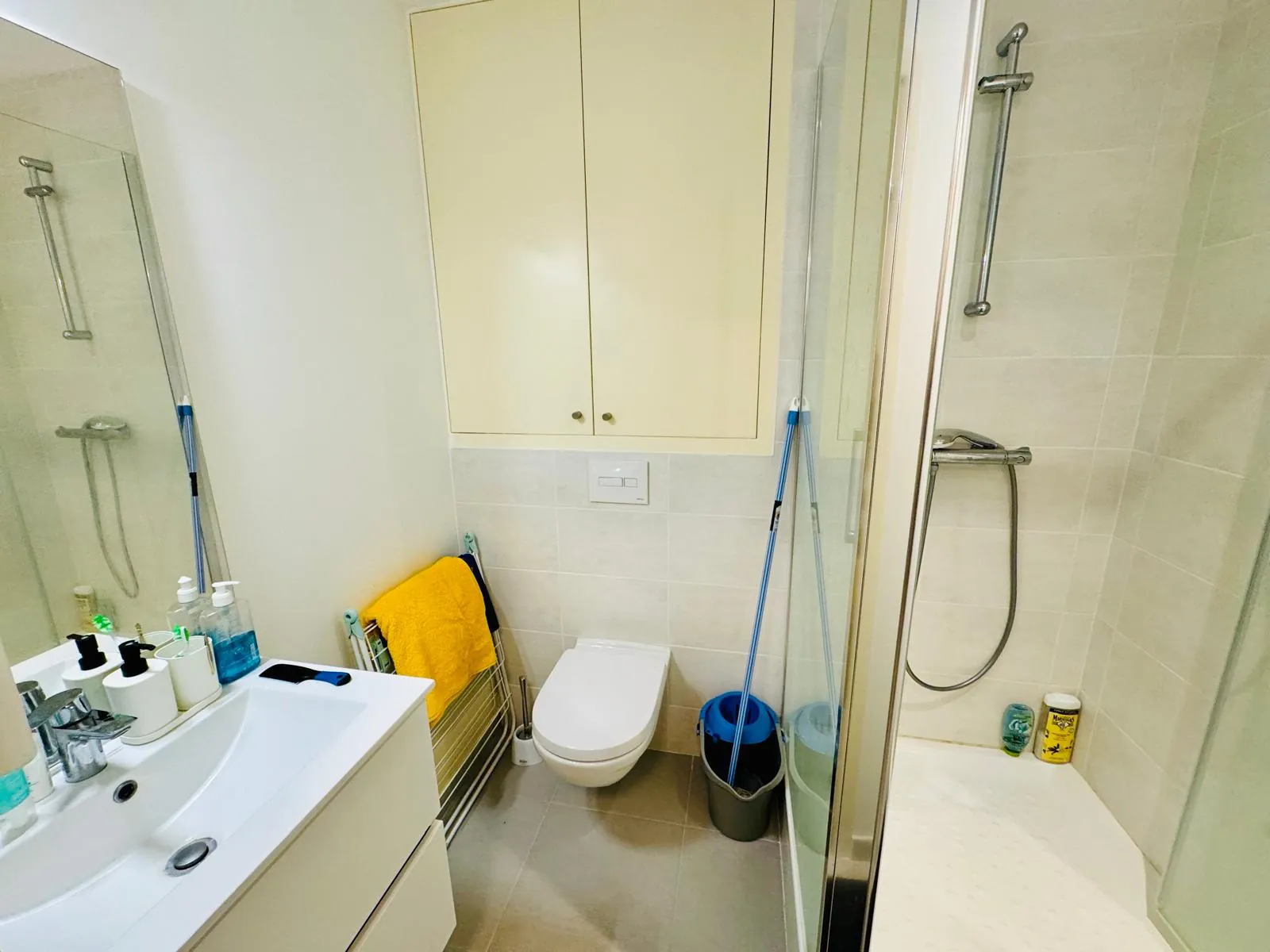 Appartement T2 rénové à Grenoble centre historique - Quartier des Antiquaires 