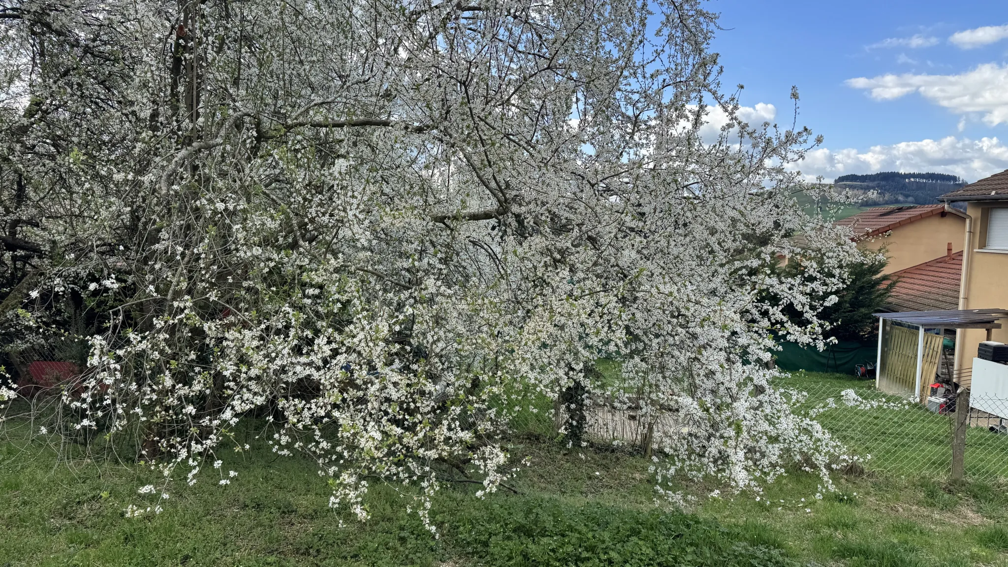 Maison à vendre à Bourg de Thizy avec grand terrain et vue dégagée 