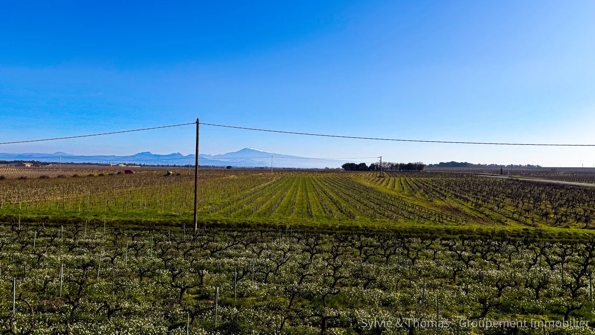 Maison à rénover avec vue exceptionnelle sur le Mont Ventoux à Orange 