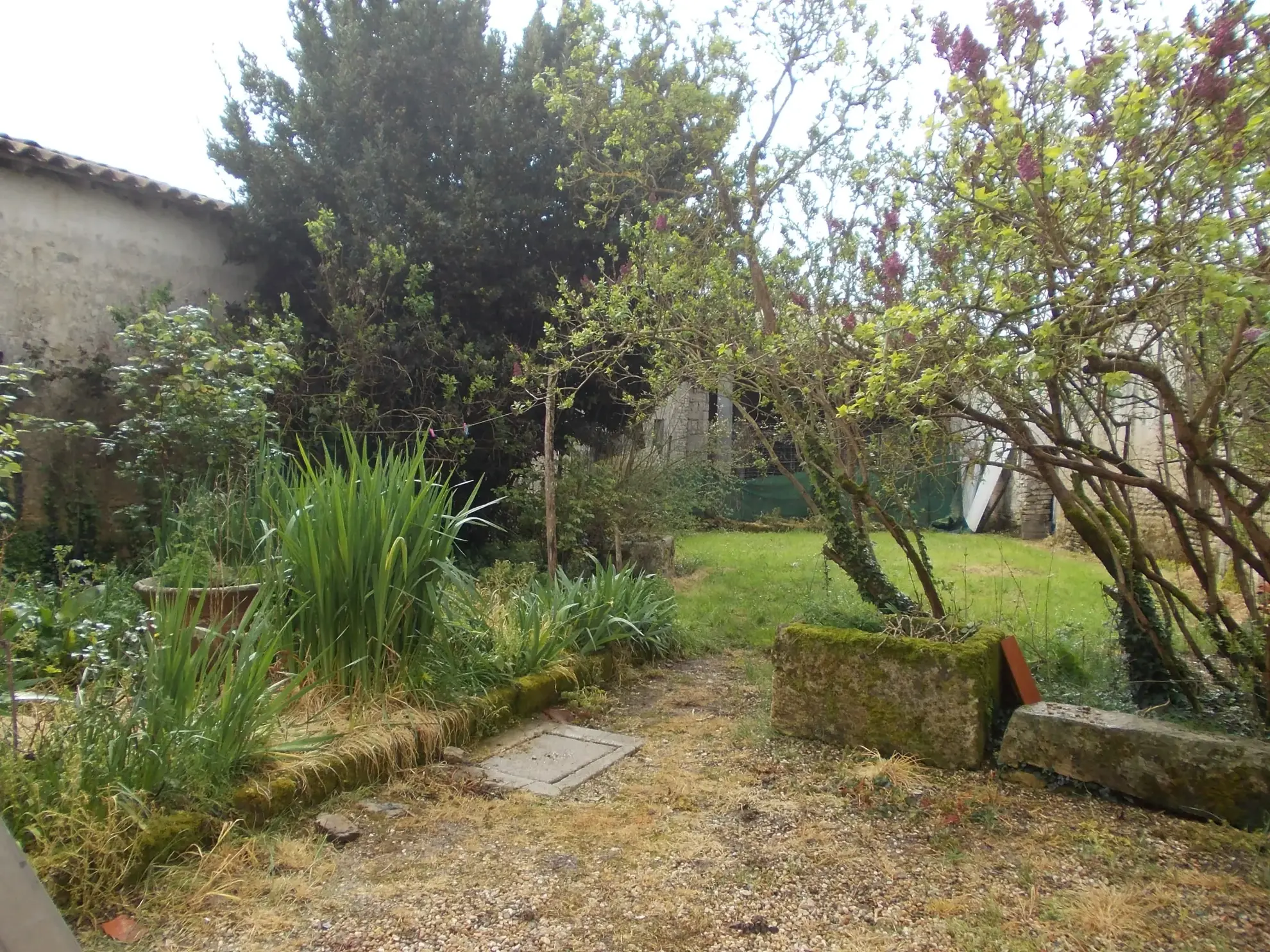 Maison de village à rénover avec dépendances et grand terrain à Aumagne 17770 