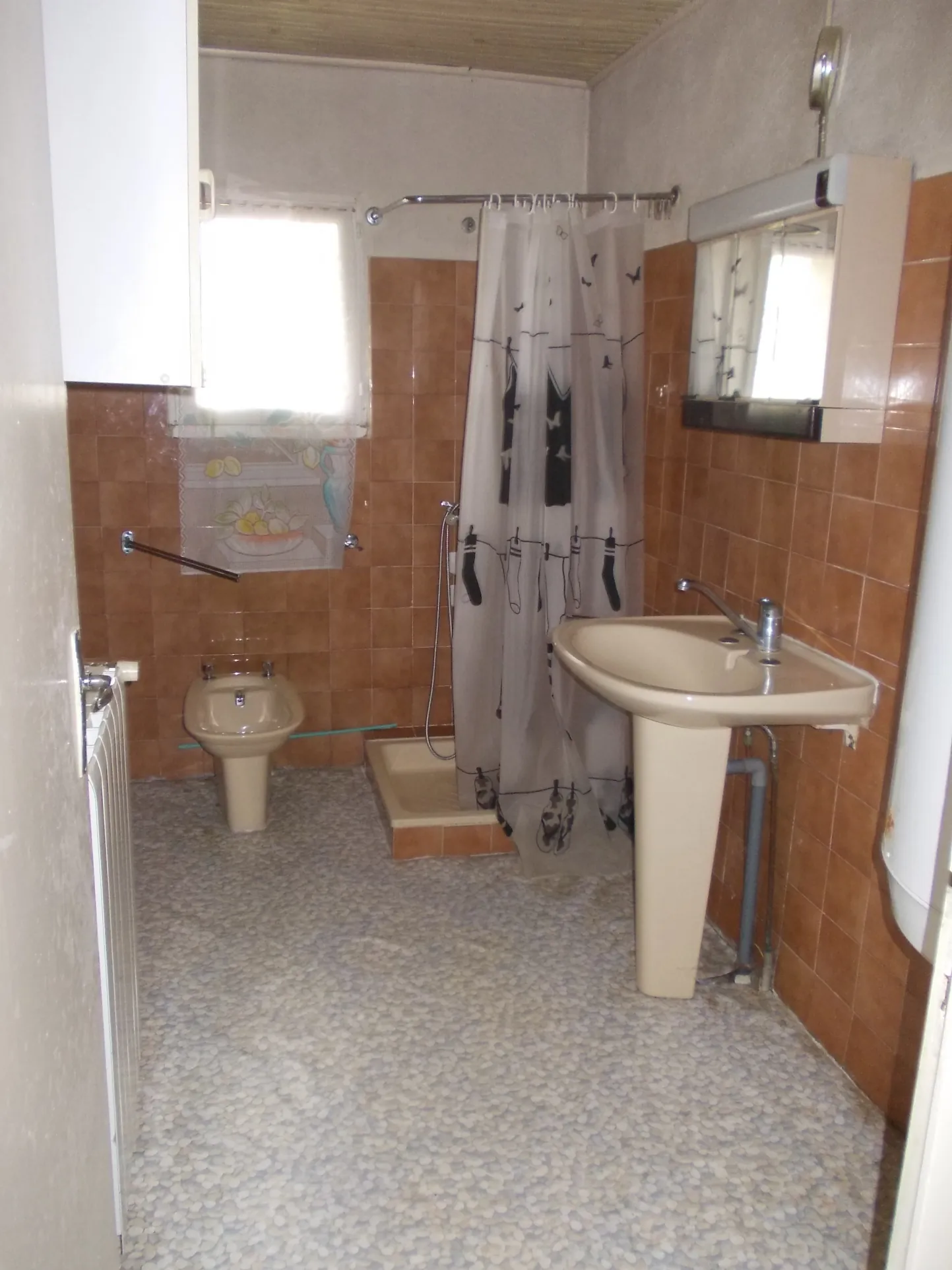 Maison de village à rénover avec dépendances et grand terrain à Aumagne 17770 