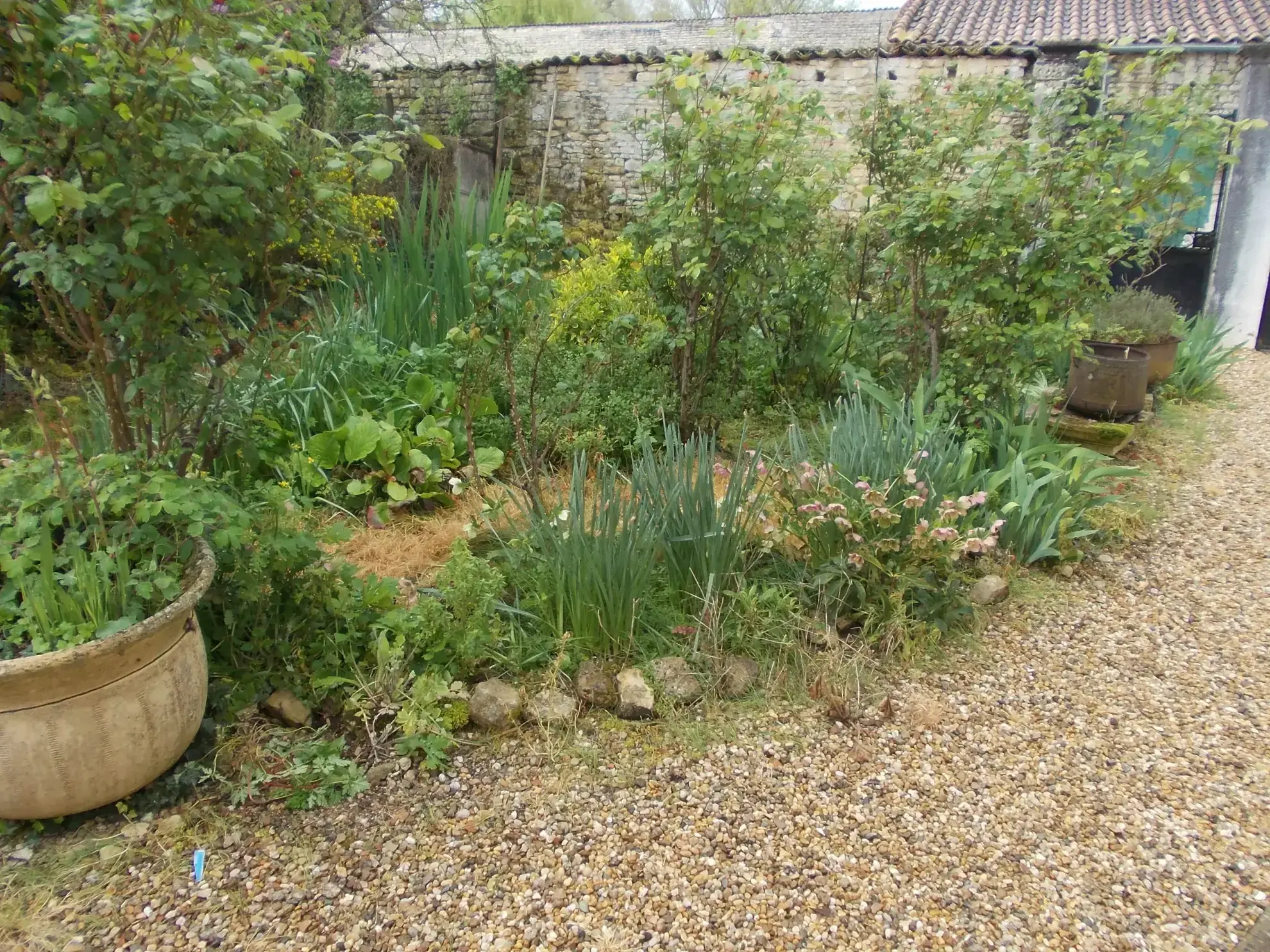 Maison de village à rénover avec dépendances et grand terrain à Aumagne 17770 