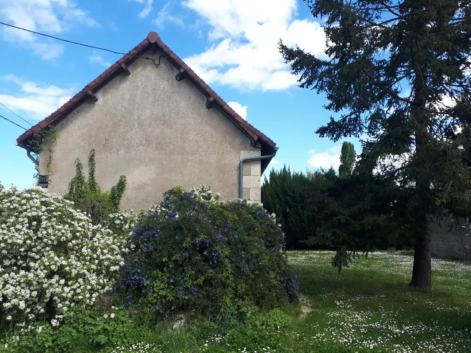 Belle propriété avec étang, jardin arboré et dépendances à Les Ormes 
