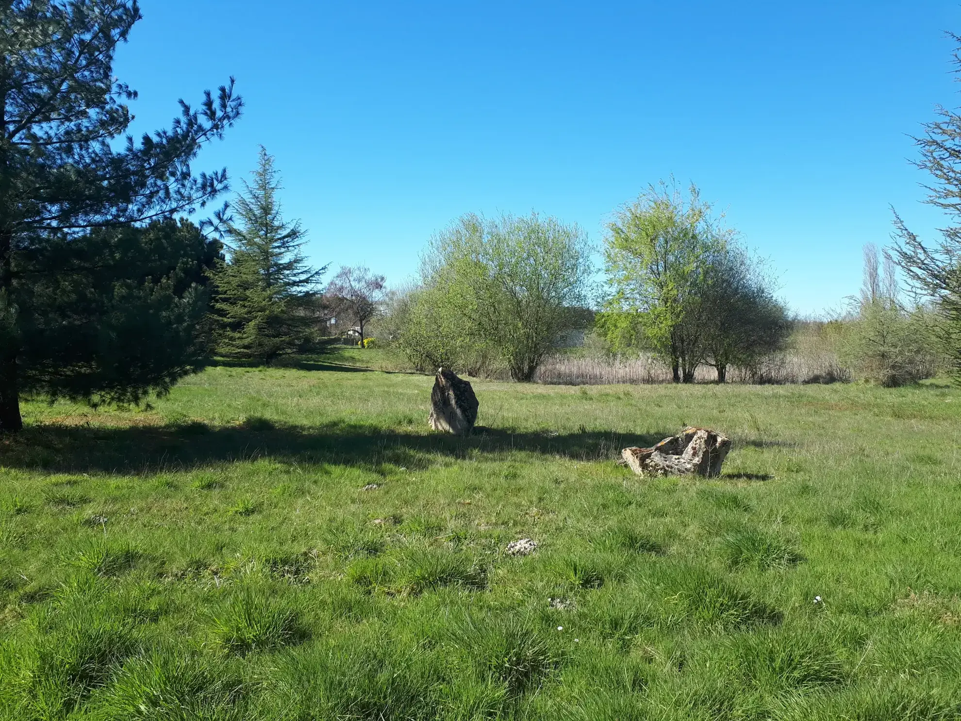 Belle propriété avec étang, jardin arboré et dépendances à Les Ormes 