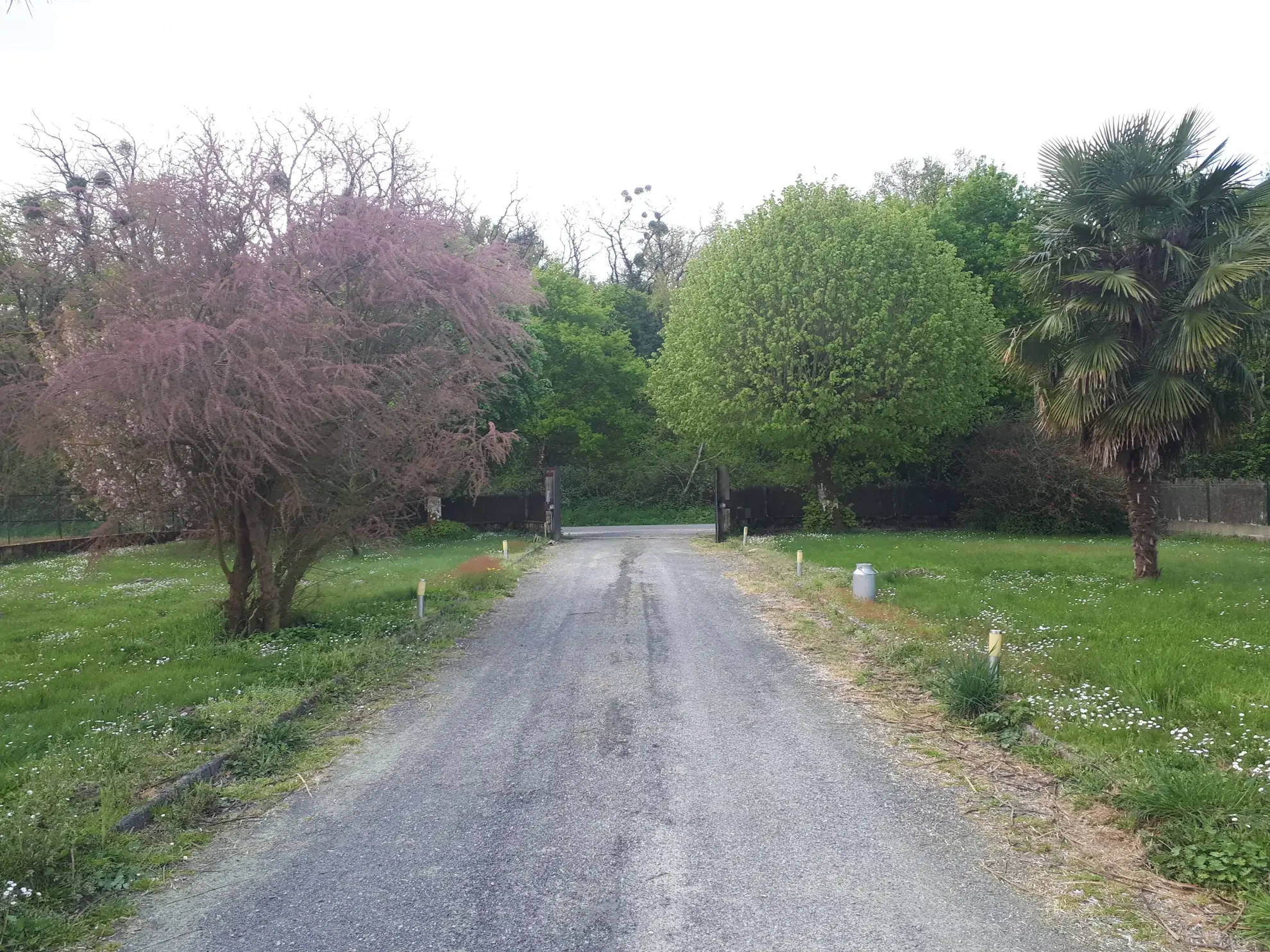 Belle propriété avec étang, jardin arboré et dépendances à Les Ormes 
