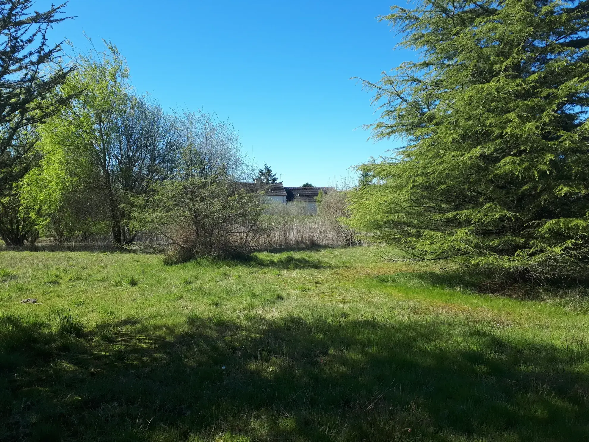 Belle propriété avec étang, jardin arboré et dépendances à Les Ormes 